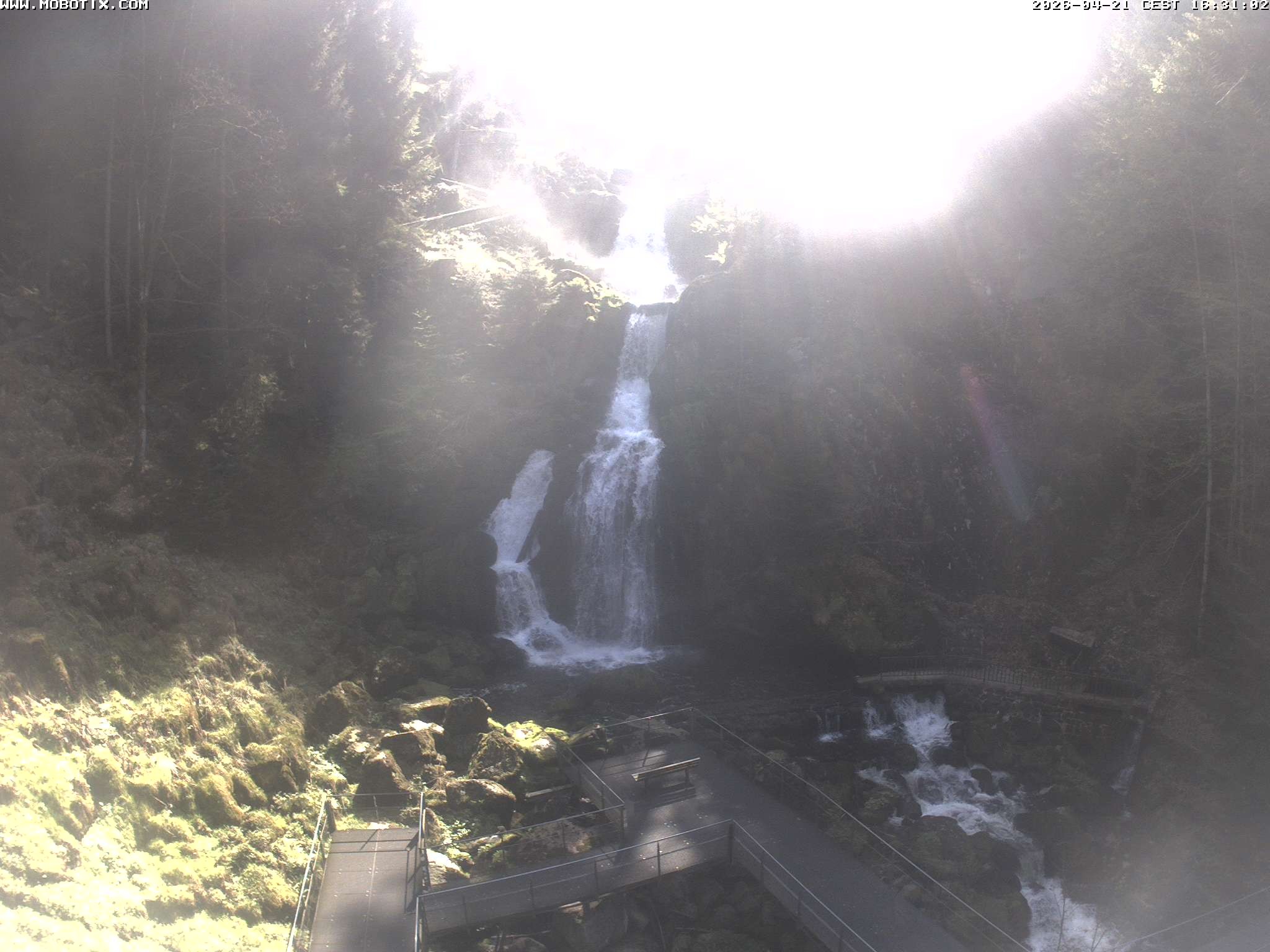 Archiv Foto Webcam Triberg Wasserfälle im Schwarzwald