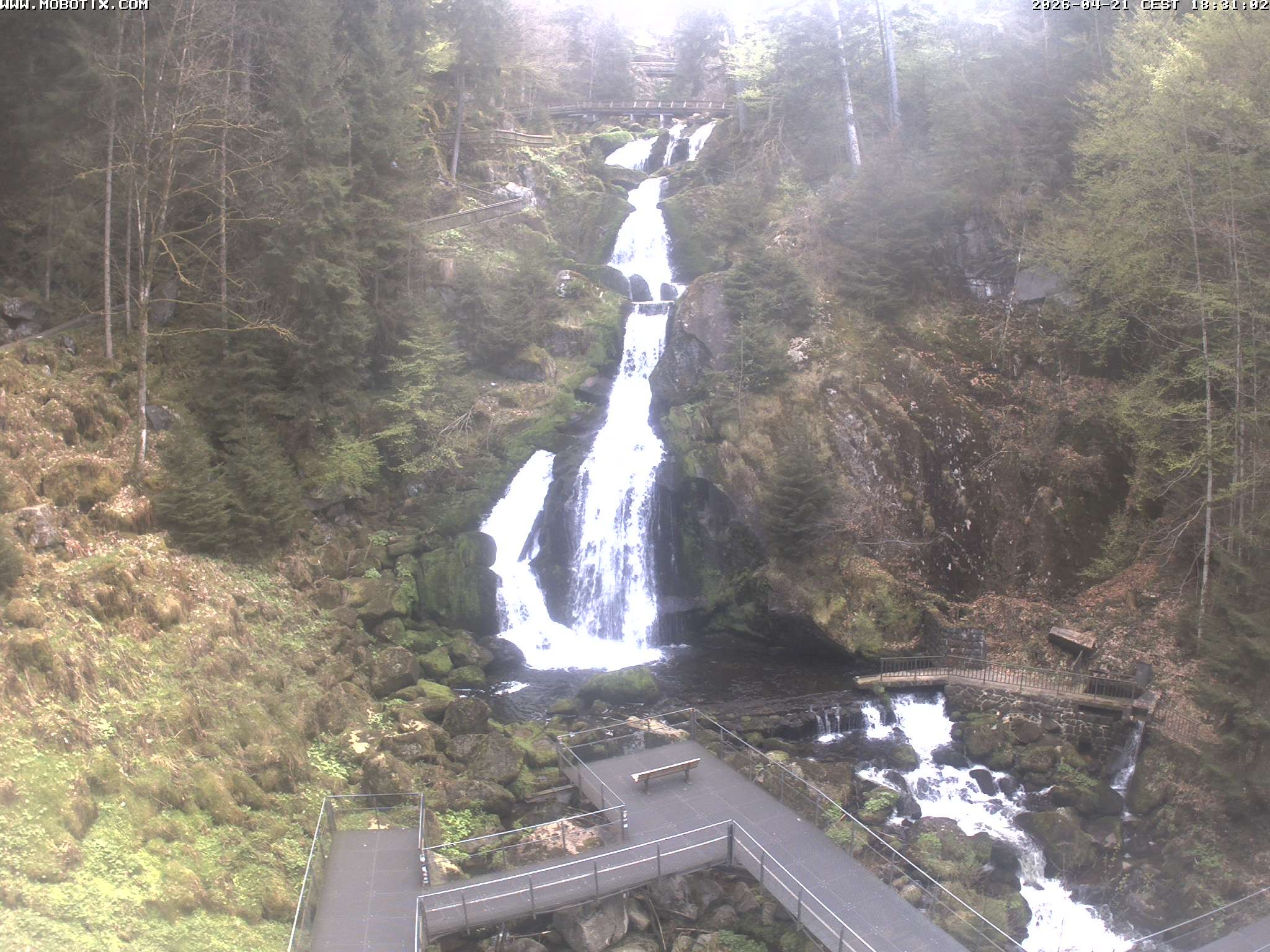 Archiv Foto Webcam Triberg Wasserfälle im Schwarzwald
