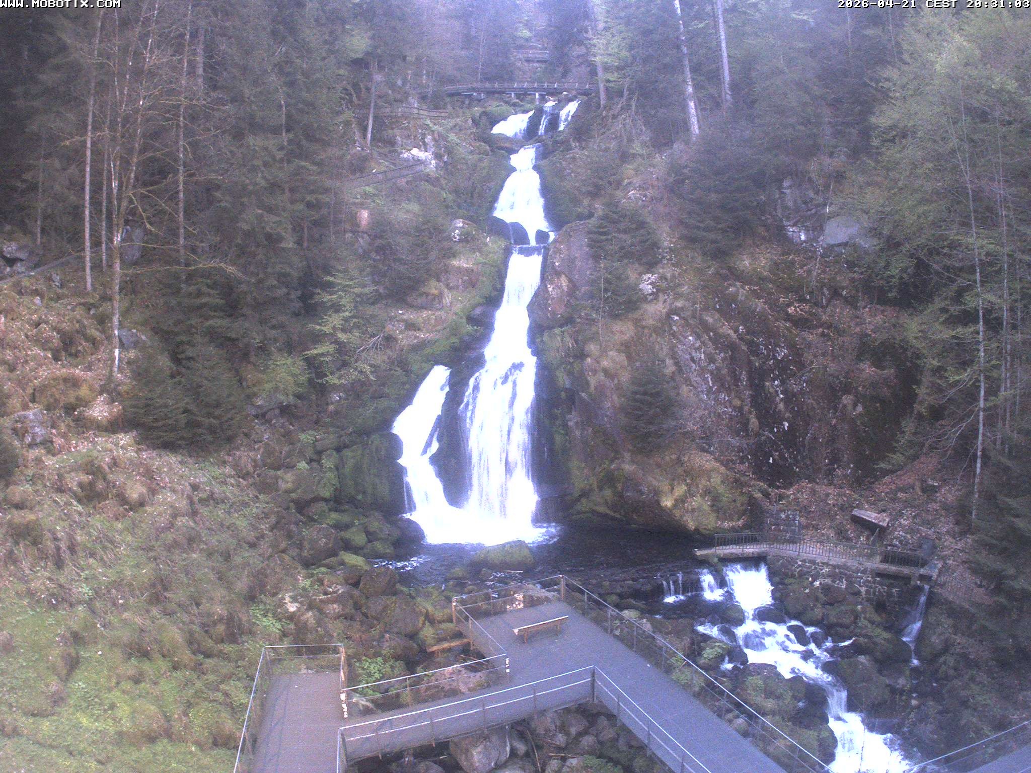 Archiv Foto Webcam Triberg Wasserfälle im Schwarzwald
