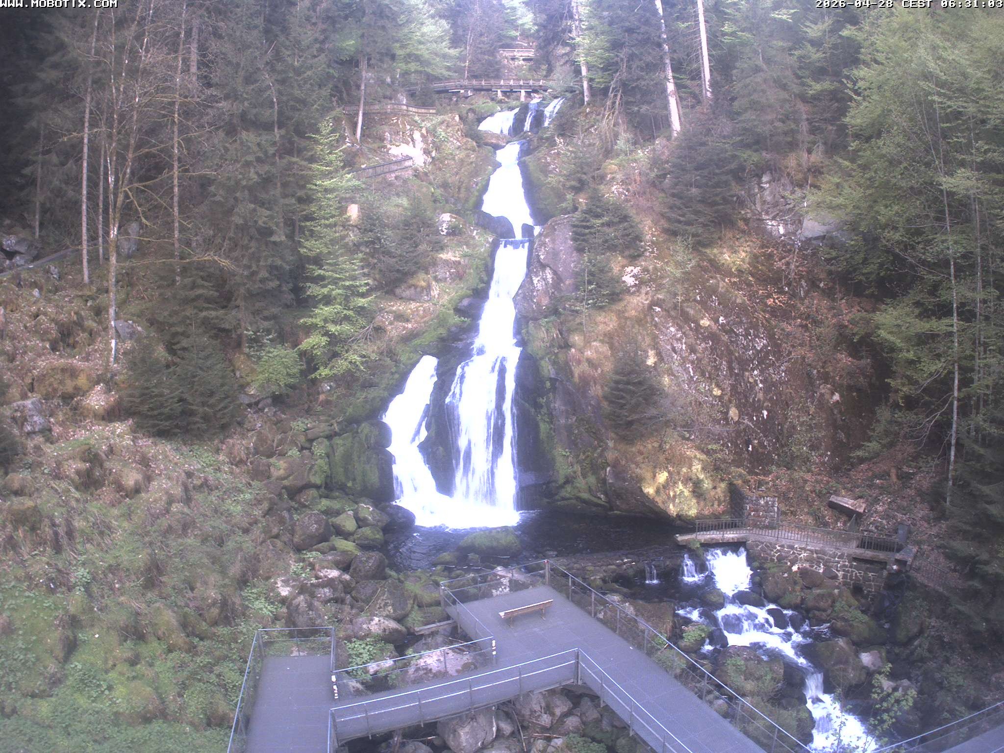 Archiv Foto Webcam Triberg Wasserfälle im Schwarzwald