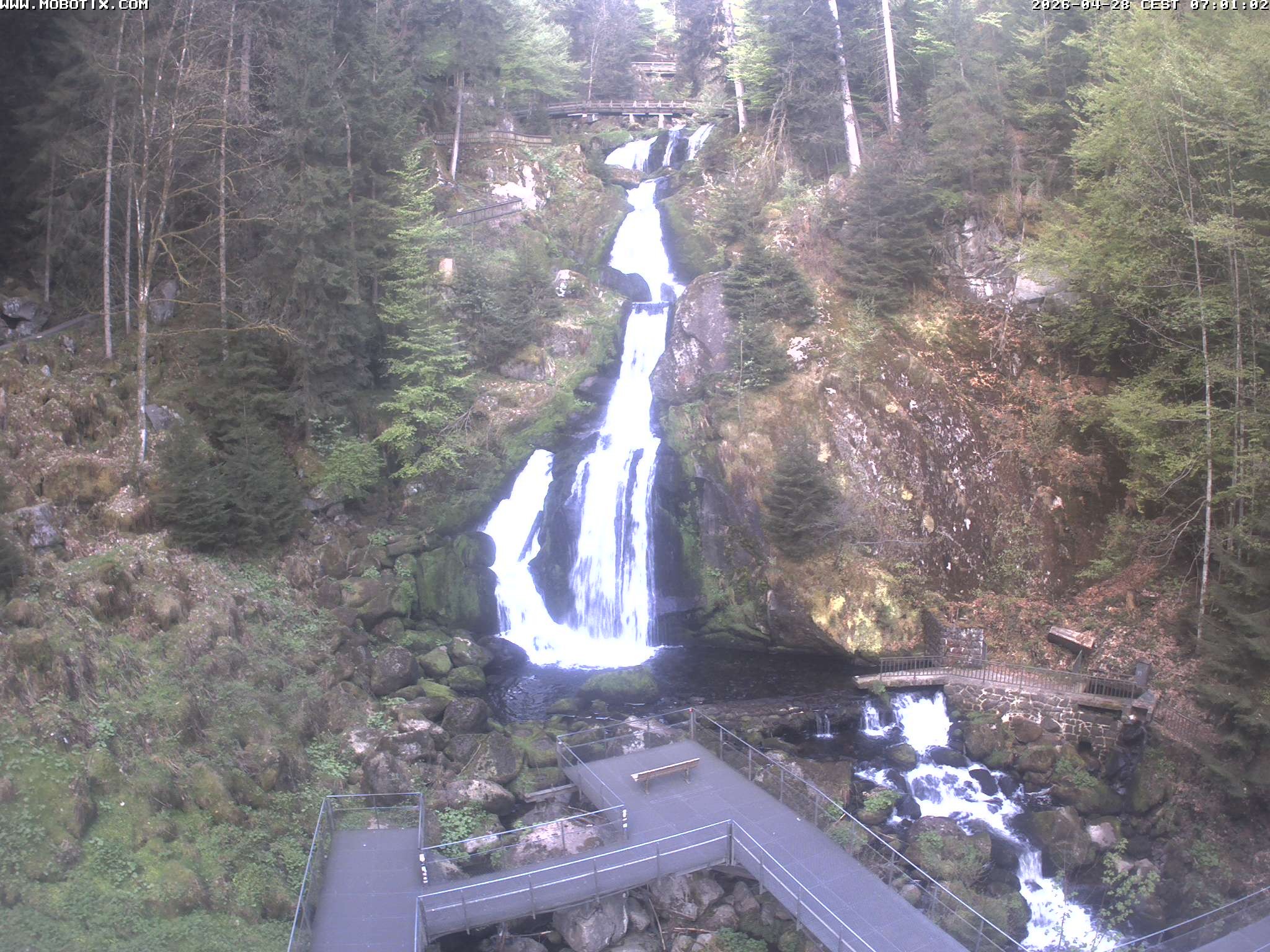 Archiv Foto Webcam Triberg Wasserfälle im Schwarzwald