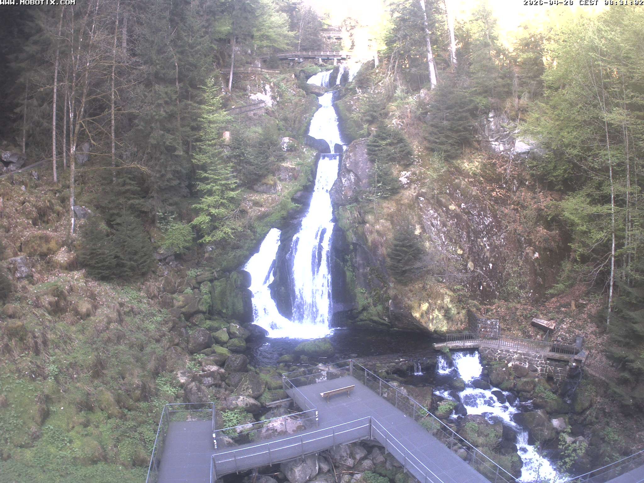 Archiv Foto Webcam Triberg Wasserfälle im Schwarzwald