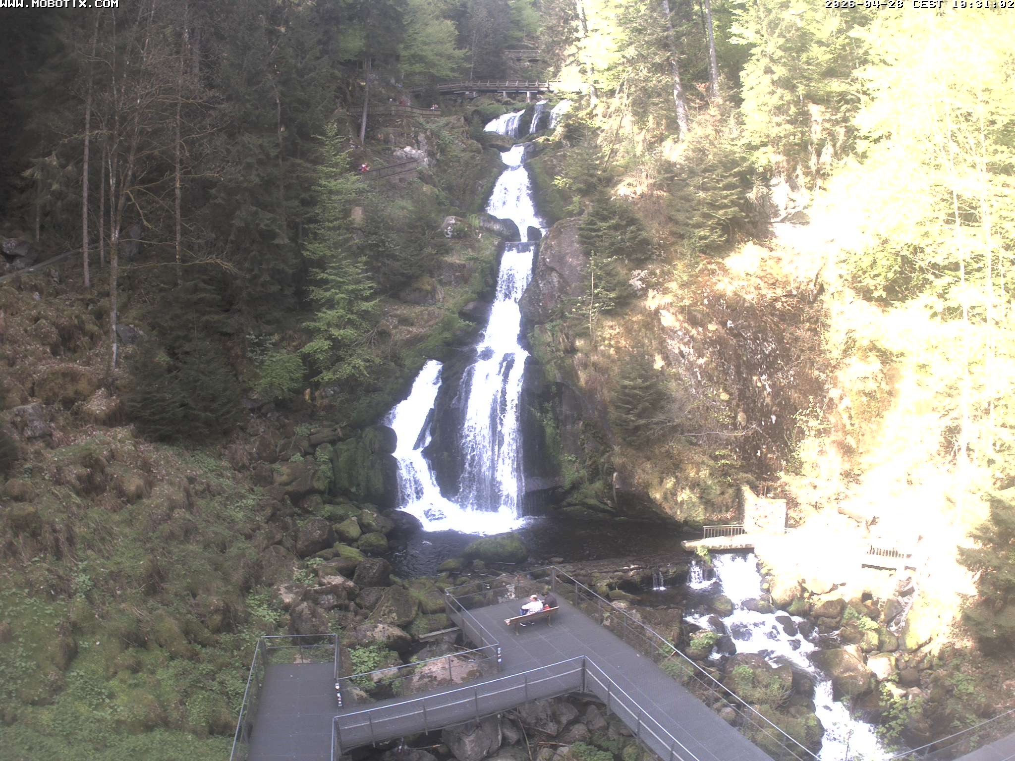 Archiv Foto Webcam Triberg Wasserfälle im Schwarzwald