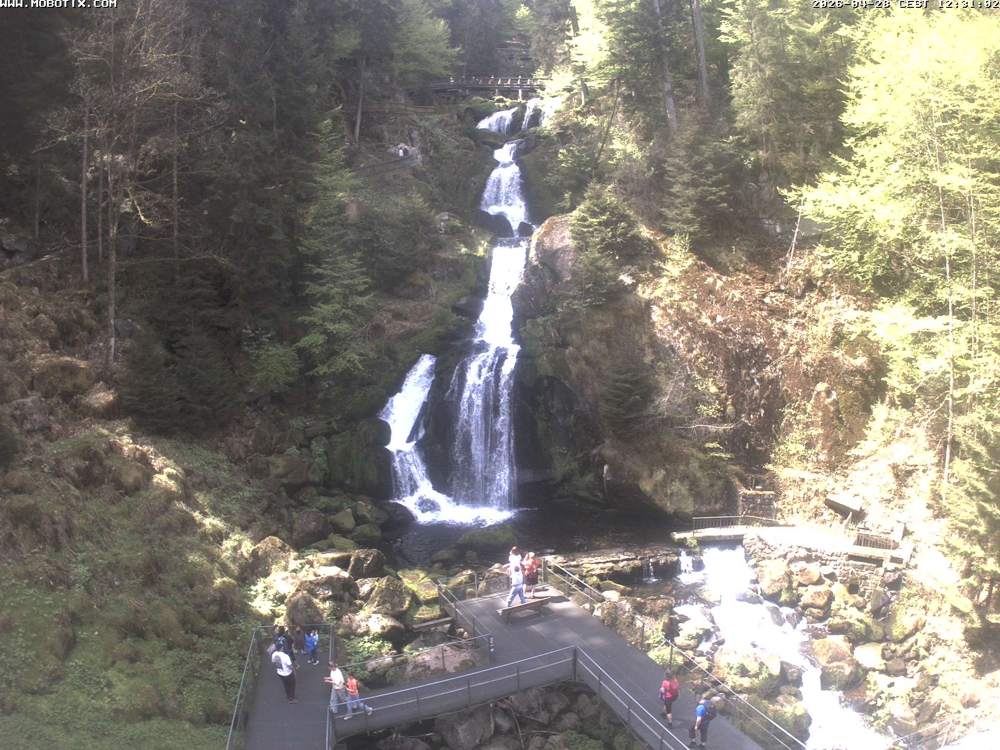 Archiv Foto Webcam Triberg Wasserfälle im Schwarzwald