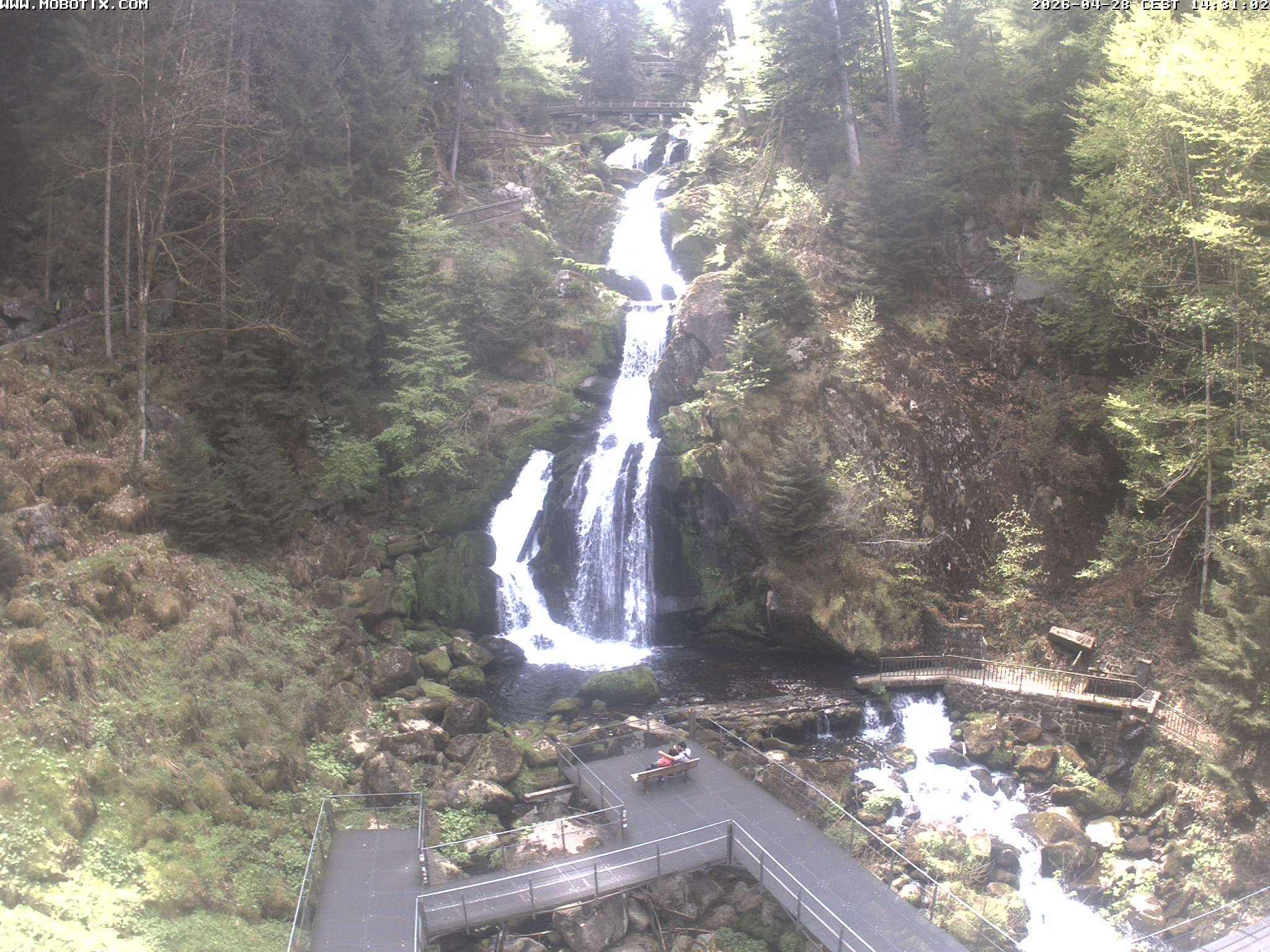 Archiv Foto Webcam Triberg Wasserfälle im Schwarzwald