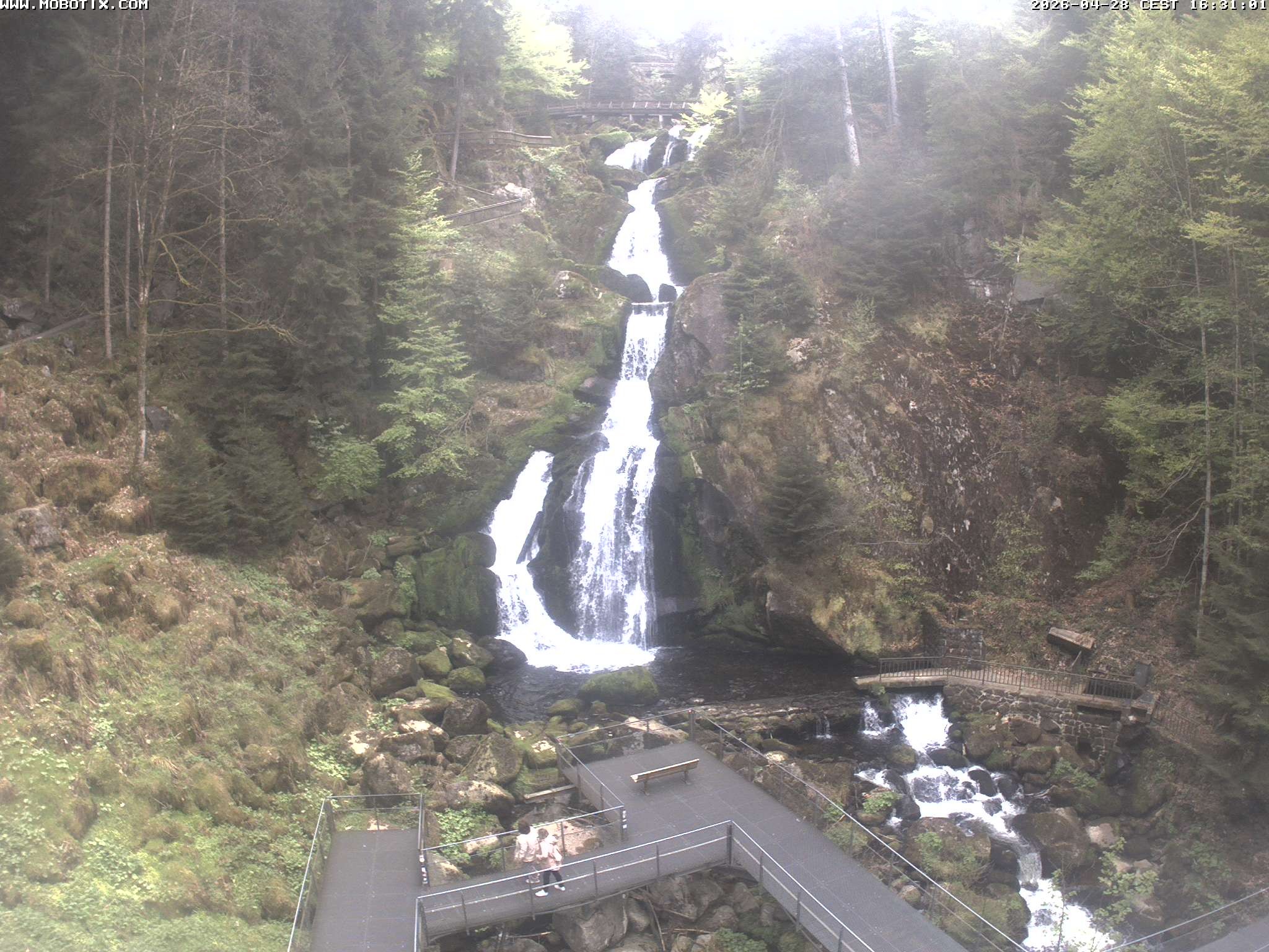 Archiv Foto Webcam Triberg Wasserfälle im Schwarzwald