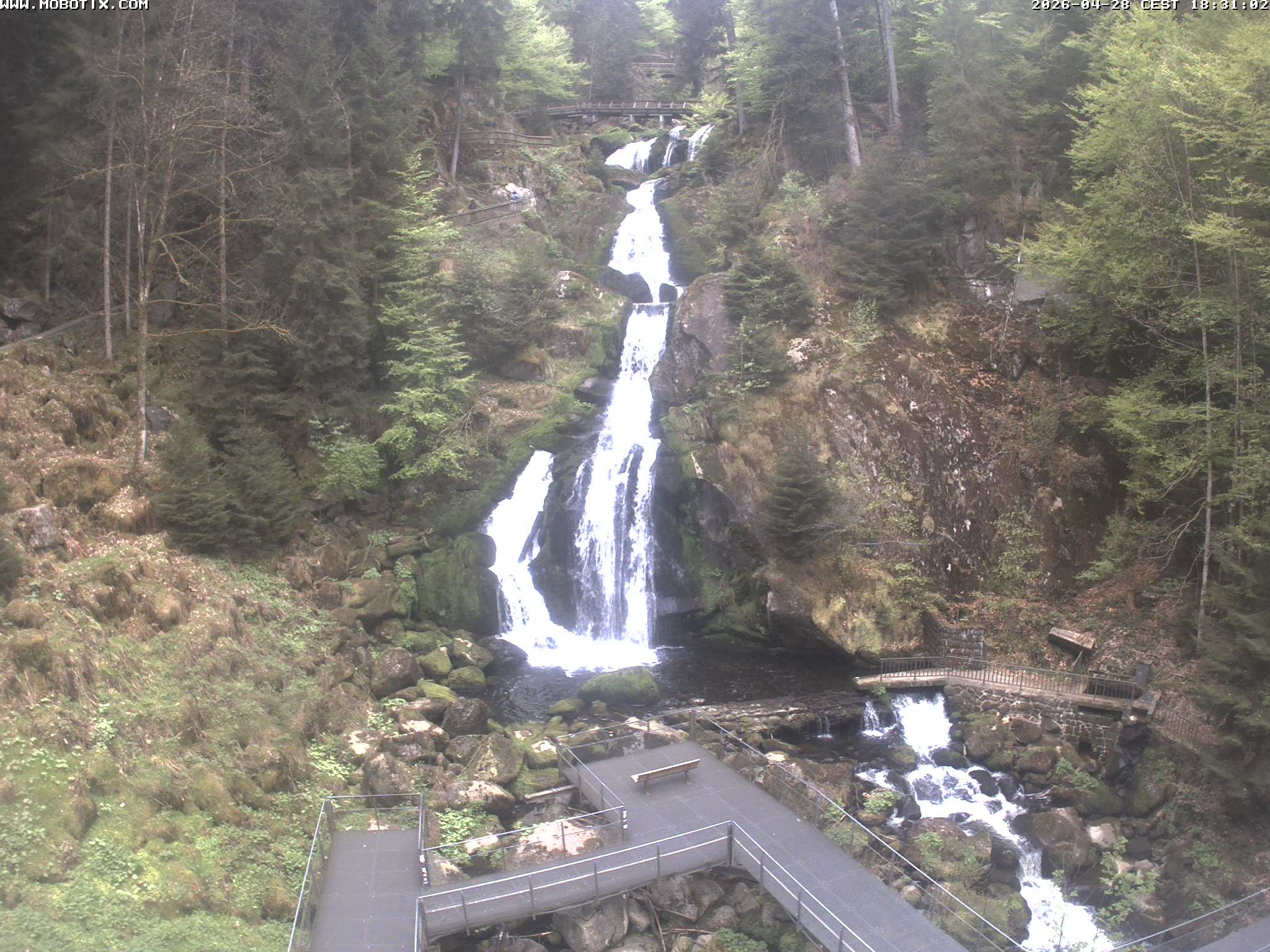 Archiv Foto Webcam Triberg Wasserfälle im Schwarzwald