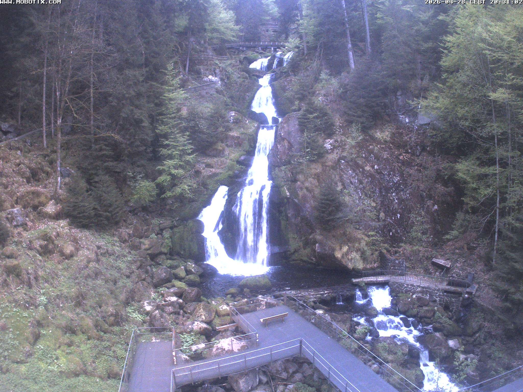 Archiv Foto Webcam Triberg Wasserfälle im Schwarzwald