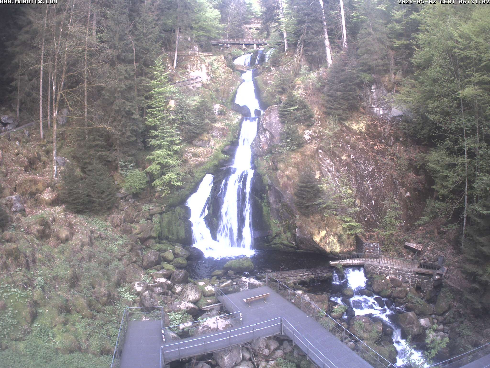 Archived image Webcam Triberg (Black Forest): Waterfalls