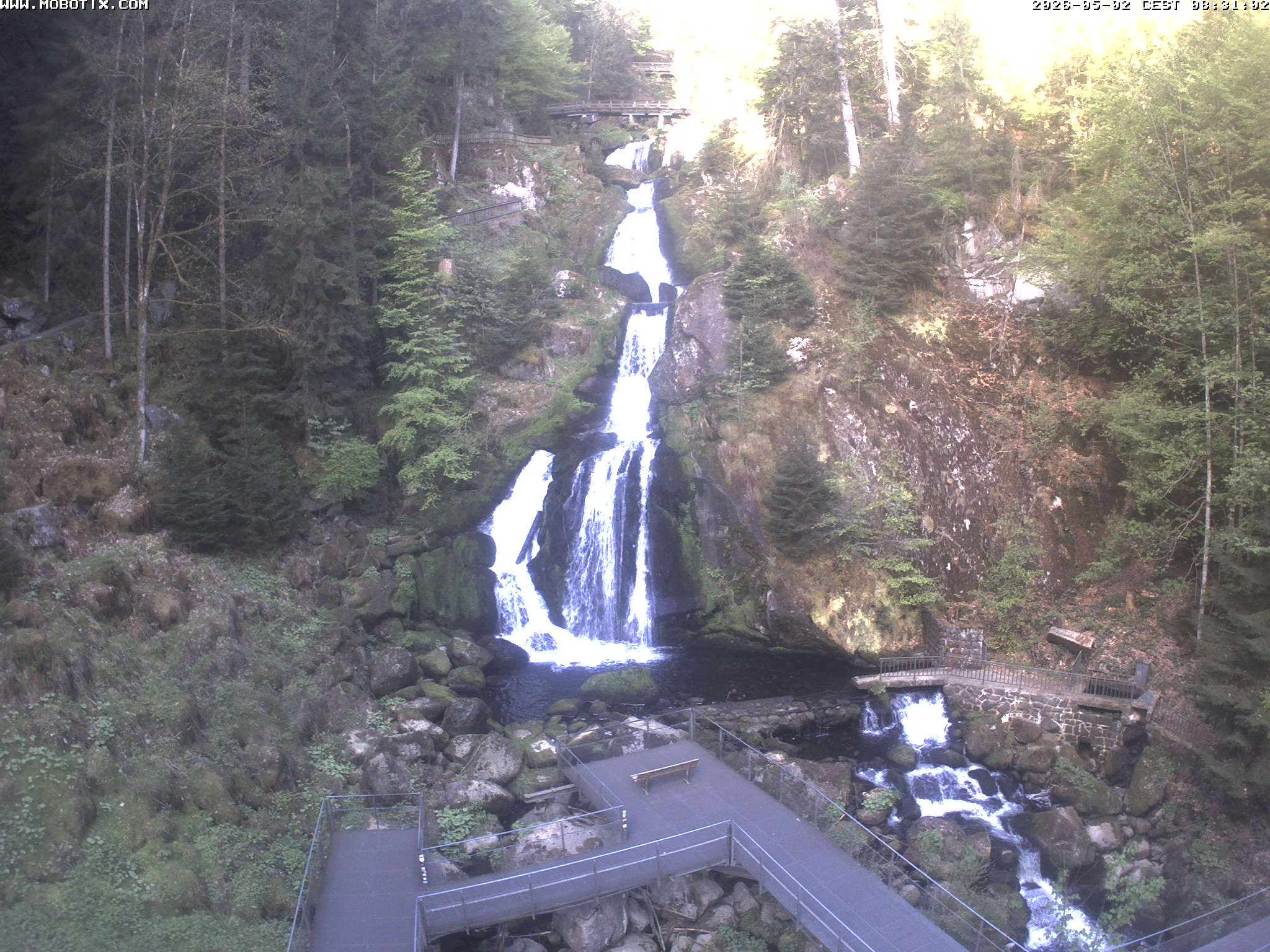 Archived image Webcam Triberg (Black Forest): Waterfalls