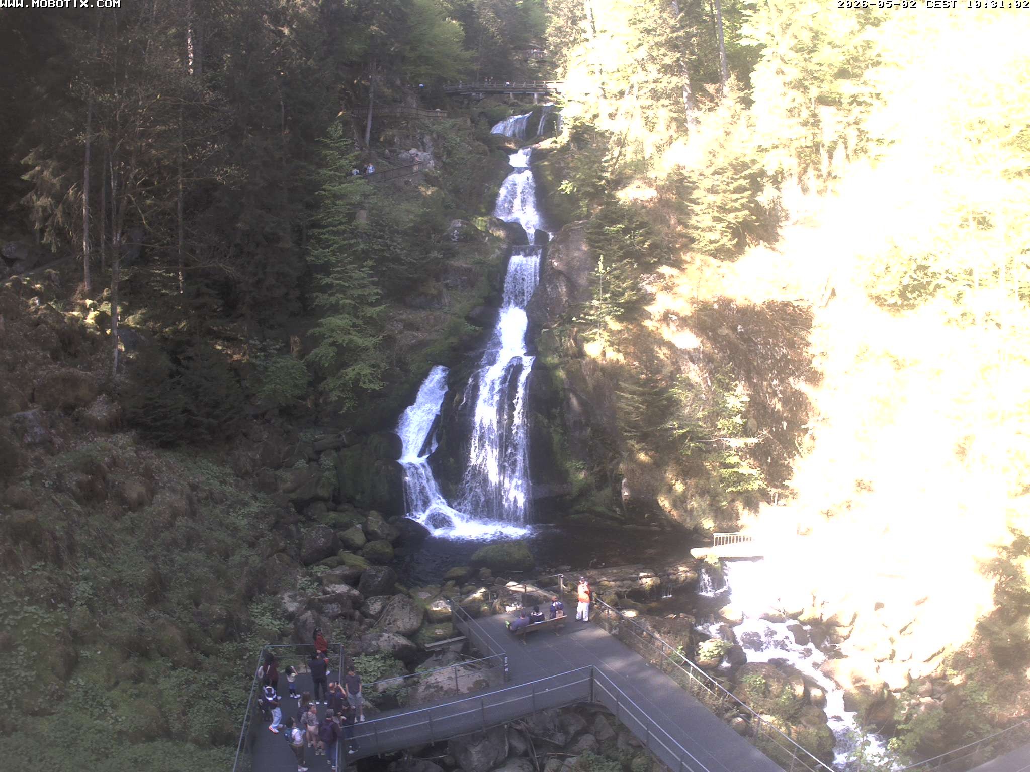 Archiv Foto Webcam Triberg Wasserfälle im Schwarzwald