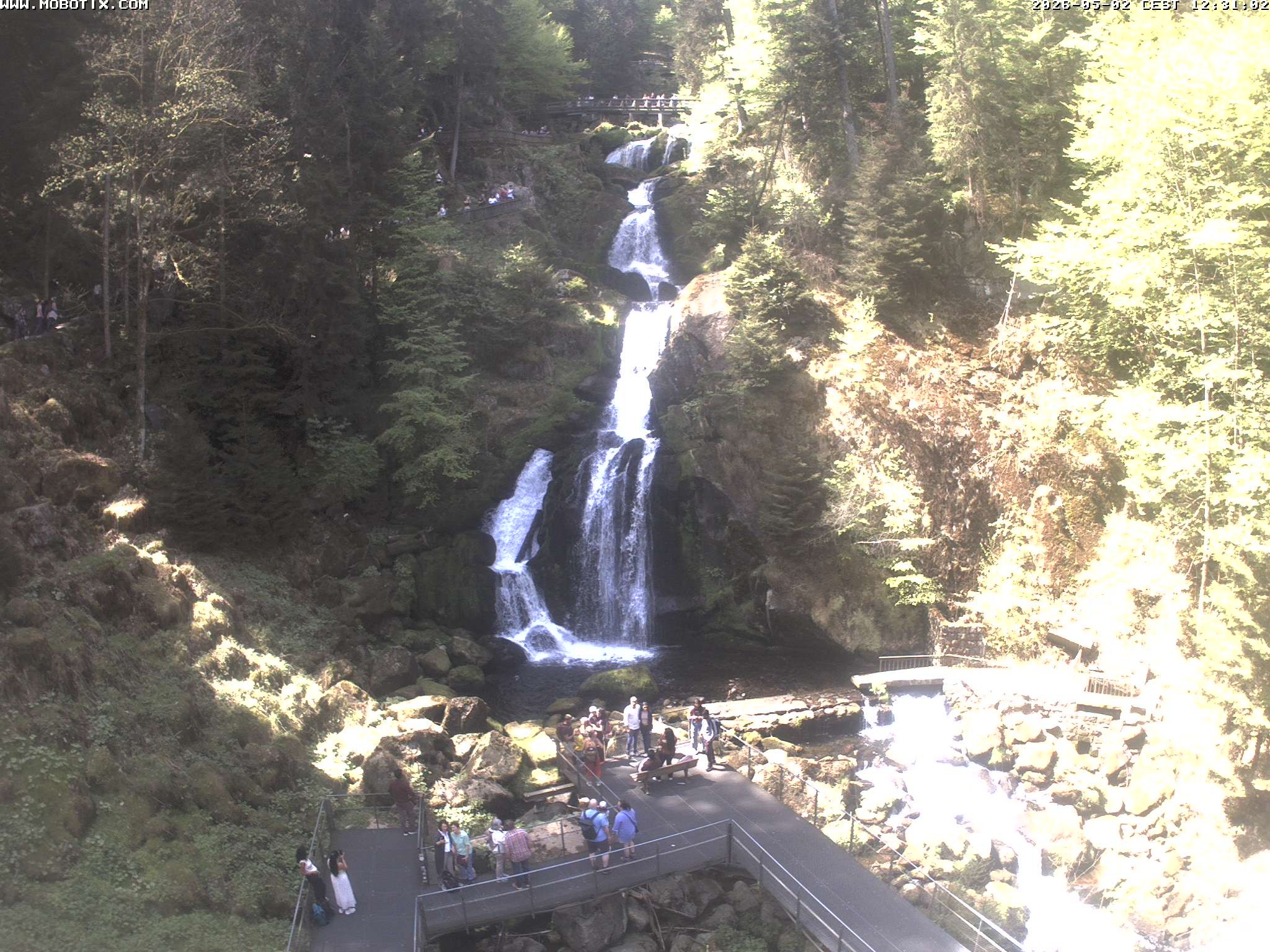 Archiv Foto Webcam Triberg Wasserfälle im Schwarzwald