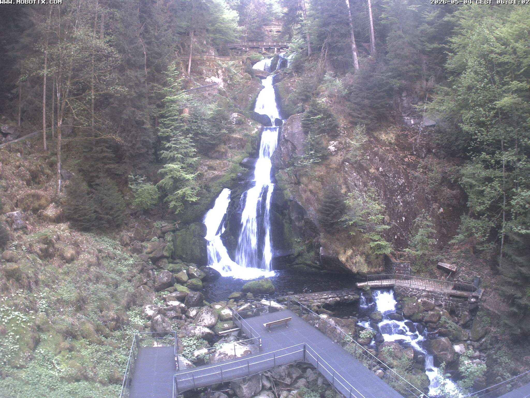 Archiv Foto Webcam Triberg Wasserfälle im Schwarzwald