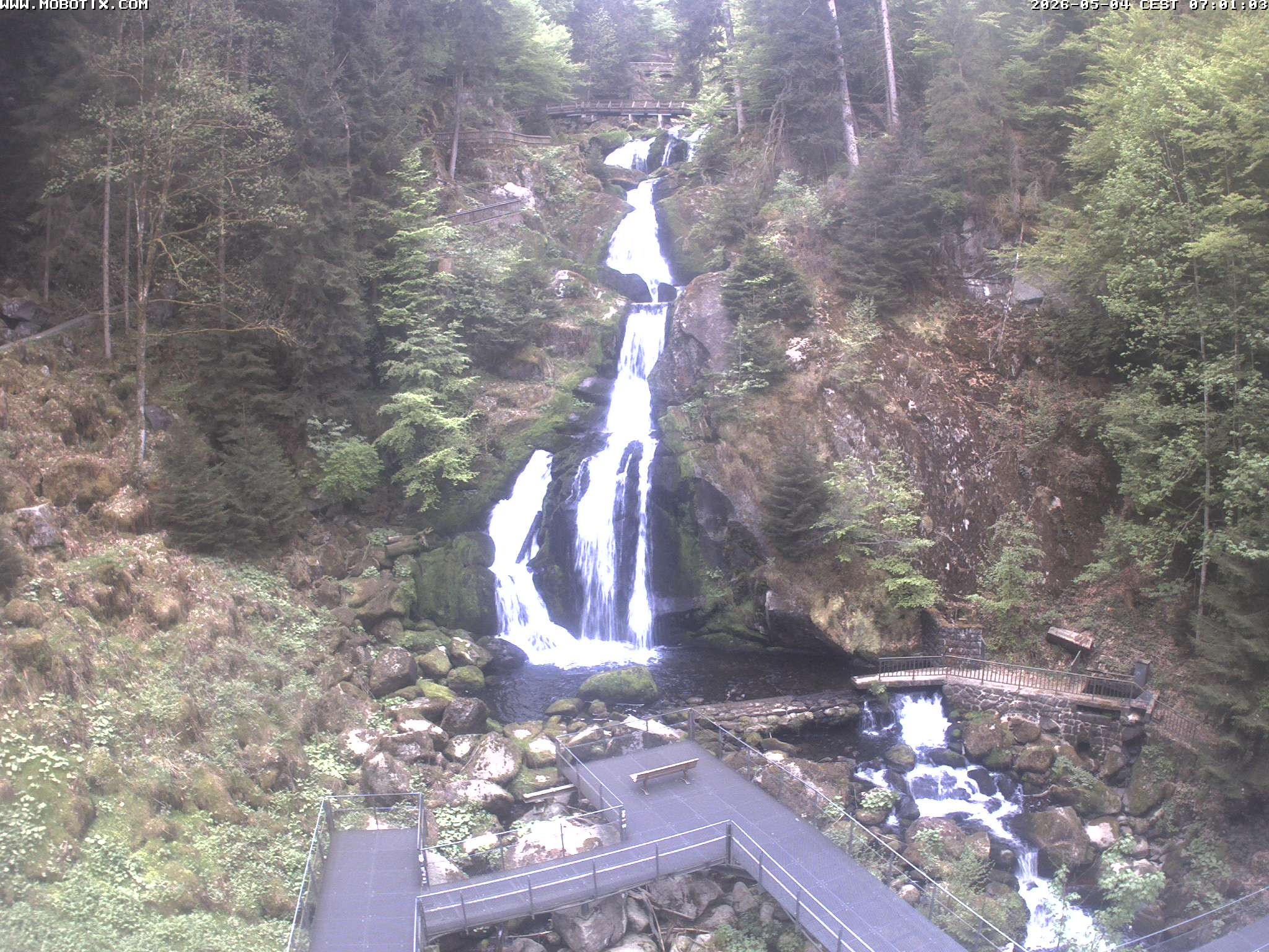 Archiv Foto Webcam Triberg Wasserfälle im Schwarzwald