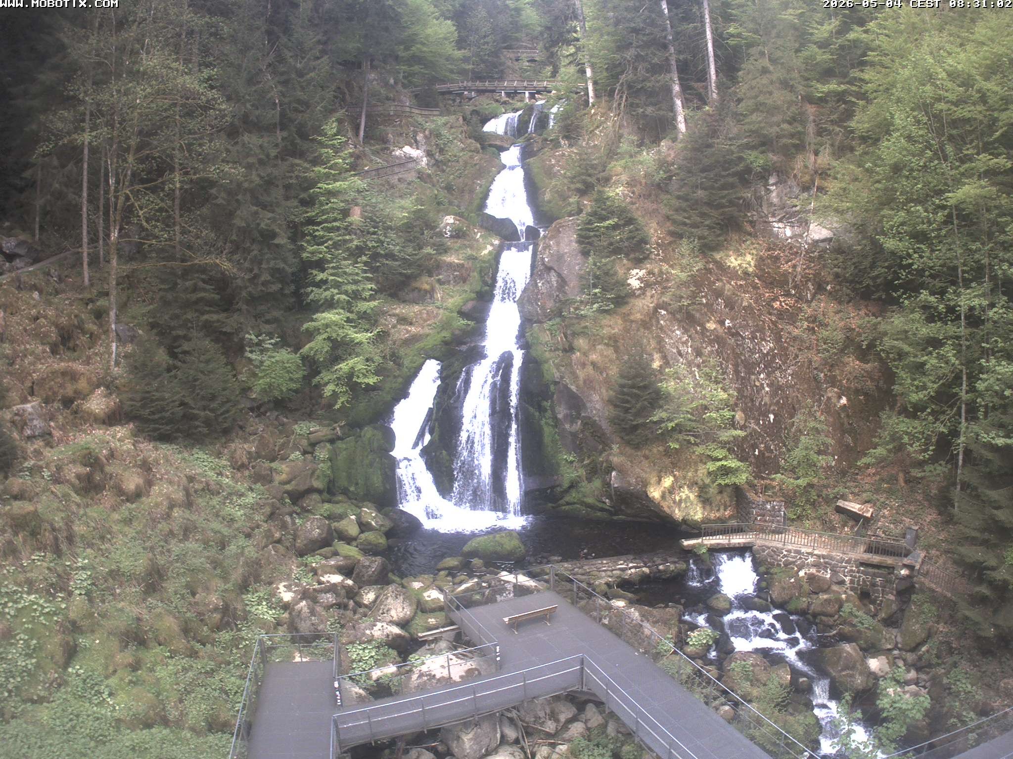 Archiv Foto Webcam Triberg Wasserfälle im Schwarzwald
