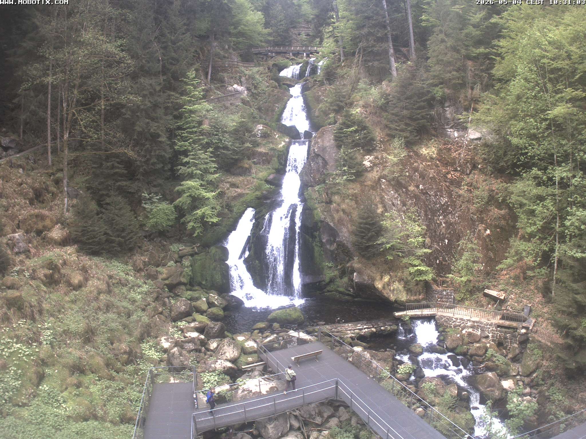 Archiv Foto Webcam Triberg Wasserfälle im Schwarzwald