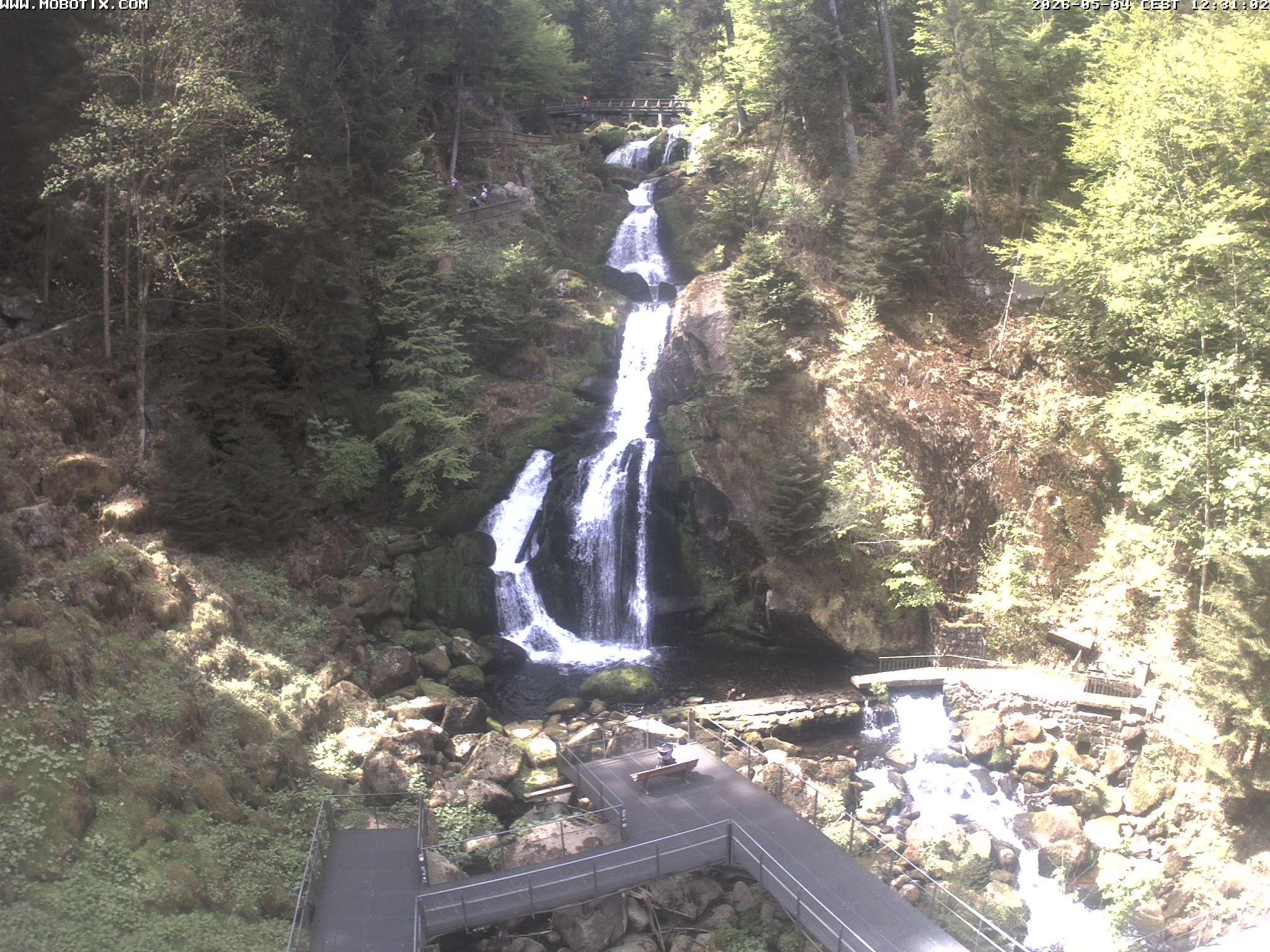 Archiv Foto Webcam Triberg Wasserfälle im Schwarzwald