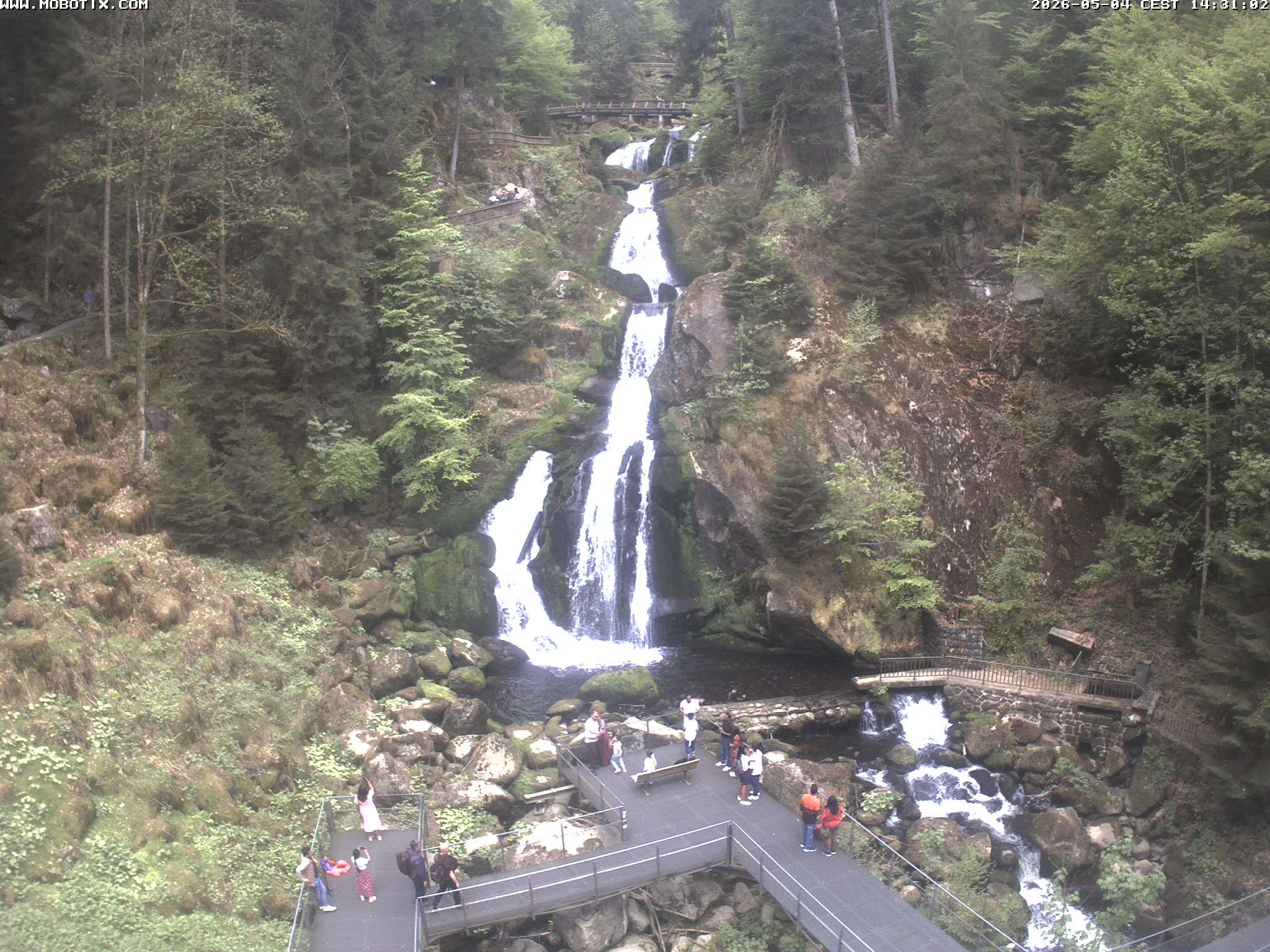 Archiv Foto Webcam Triberg Wasserfälle im Schwarzwald