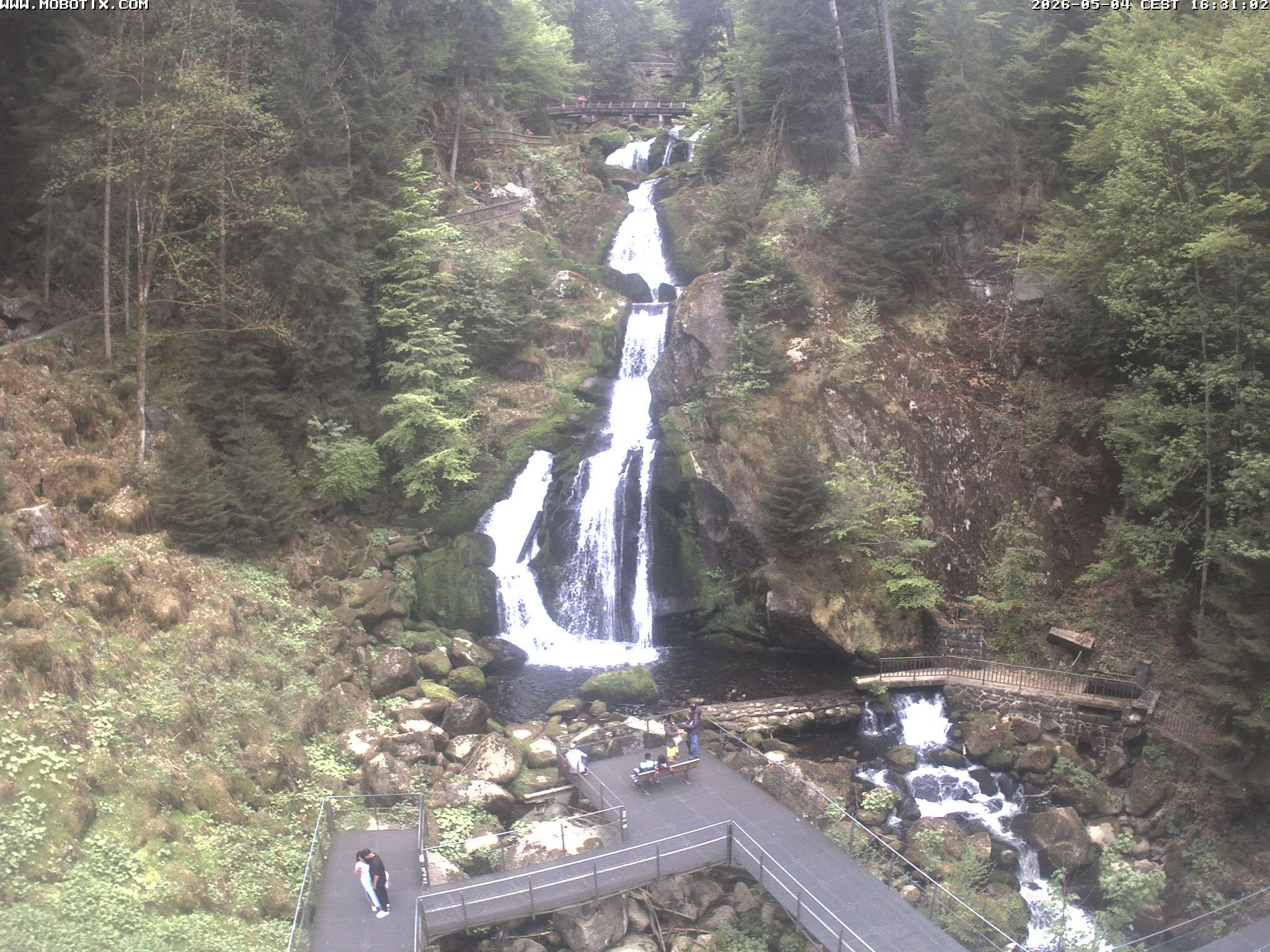 Archiv Foto Webcam Triberg Wasserfälle im Schwarzwald