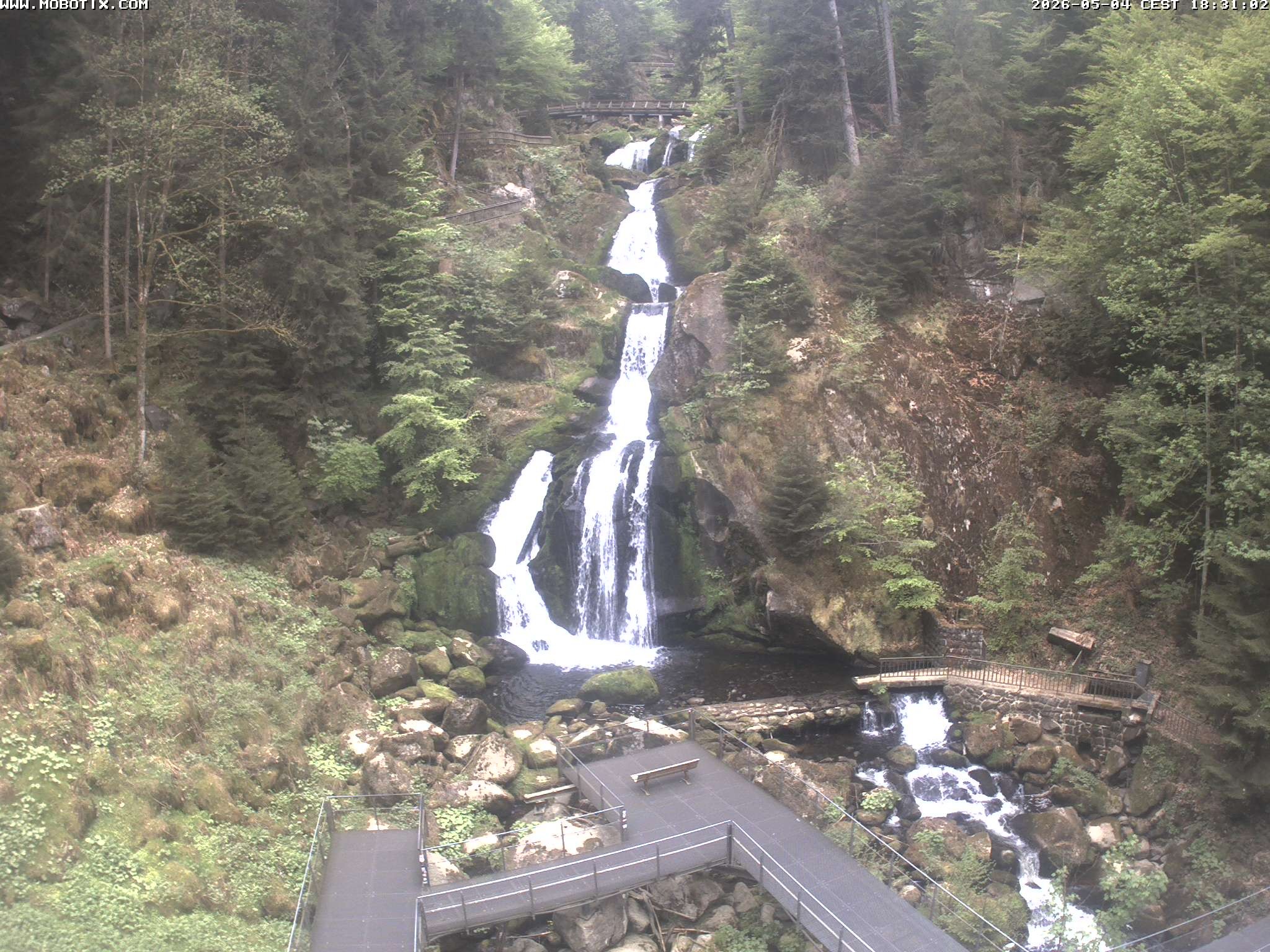 Archiv Foto Webcam Triberg Wasserfälle im Schwarzwald