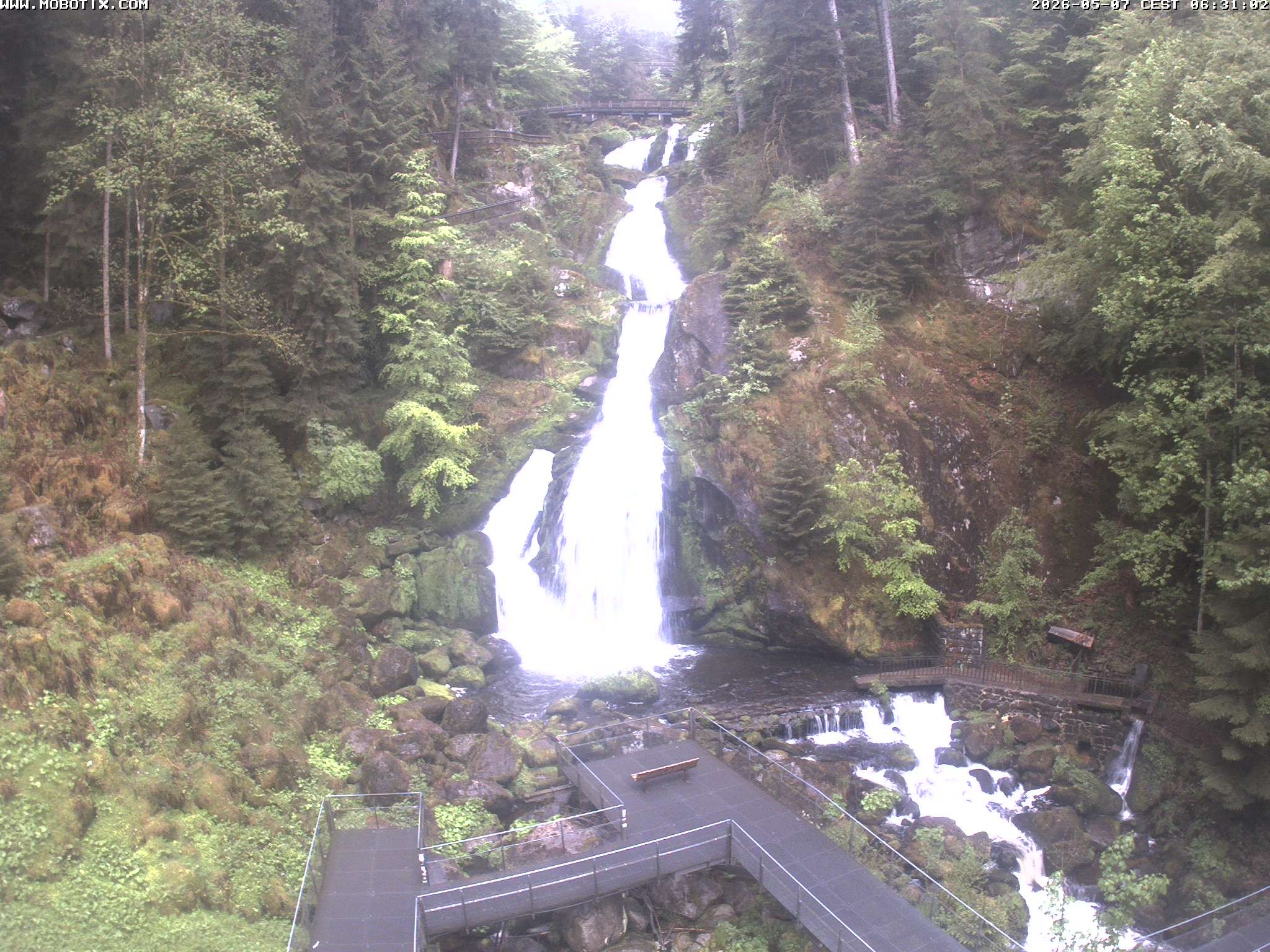 Archived image Webcam Triberg (Black Forest): Waterfalls