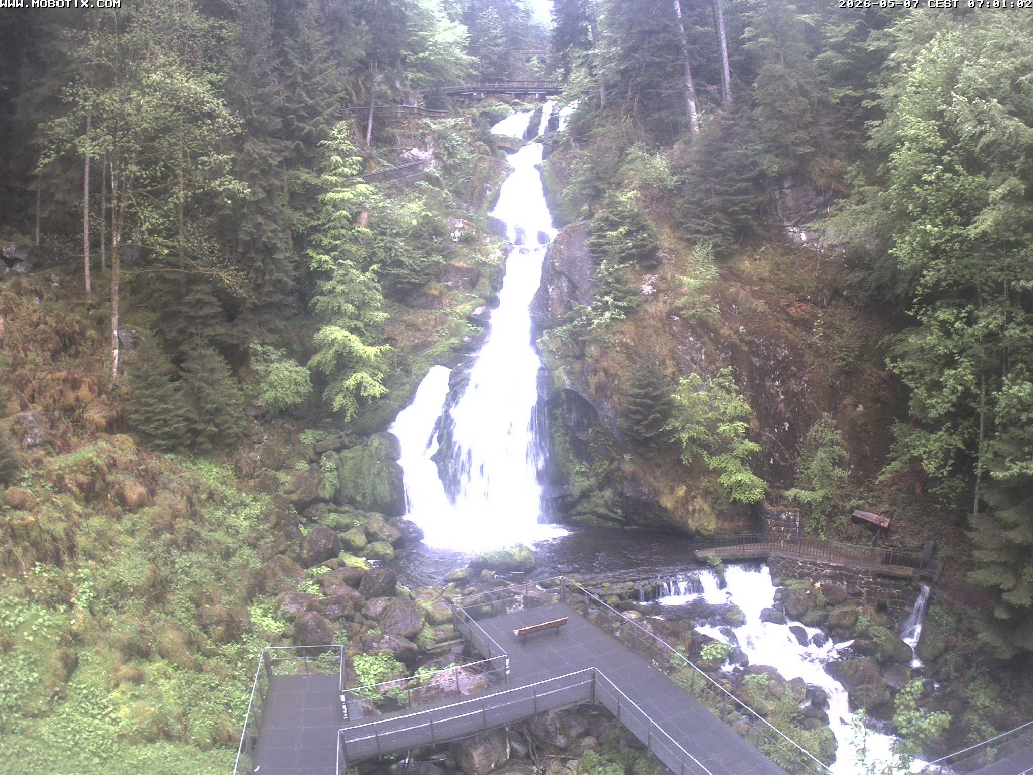 Archived image Webcam Triberg (Black Forest): Waterfalls