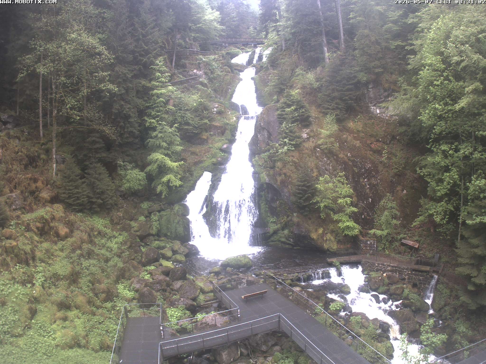 Archived image Webcam Triberg (Black Forest): Waterfalls