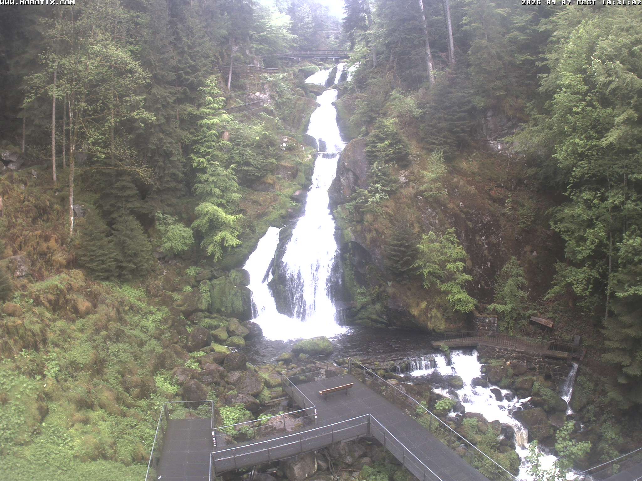 Archived image Webcam Triberg (Black Forest): Waterfalls