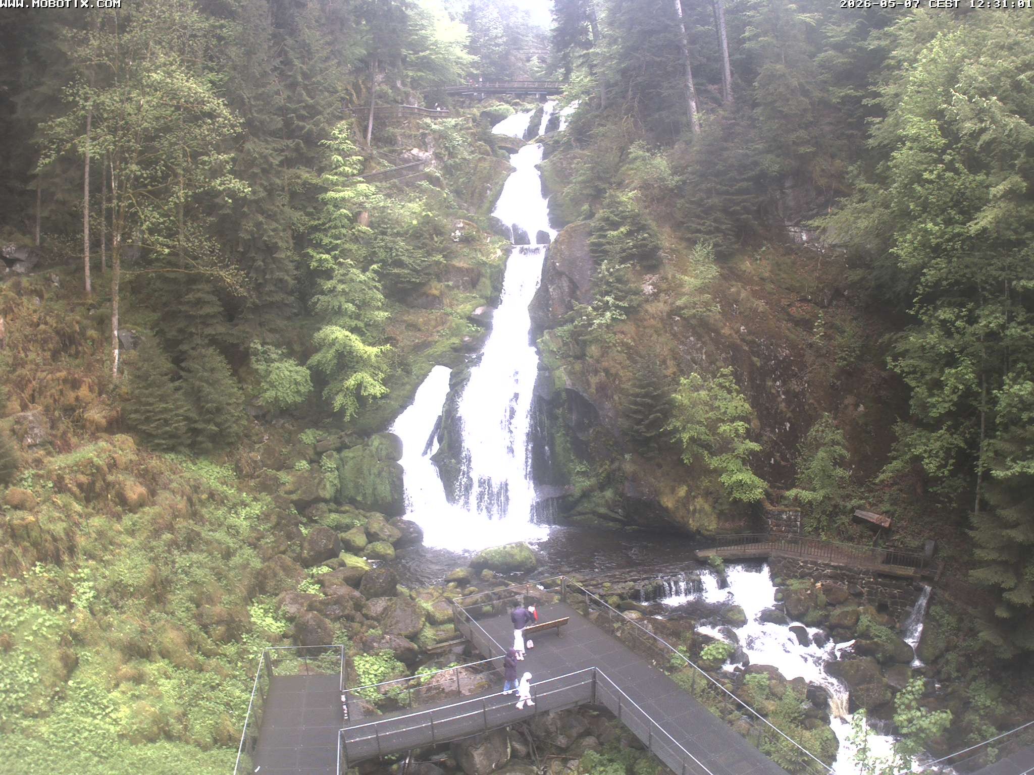 Archived image Webcam Triberg (Black Forest): Waterfalls