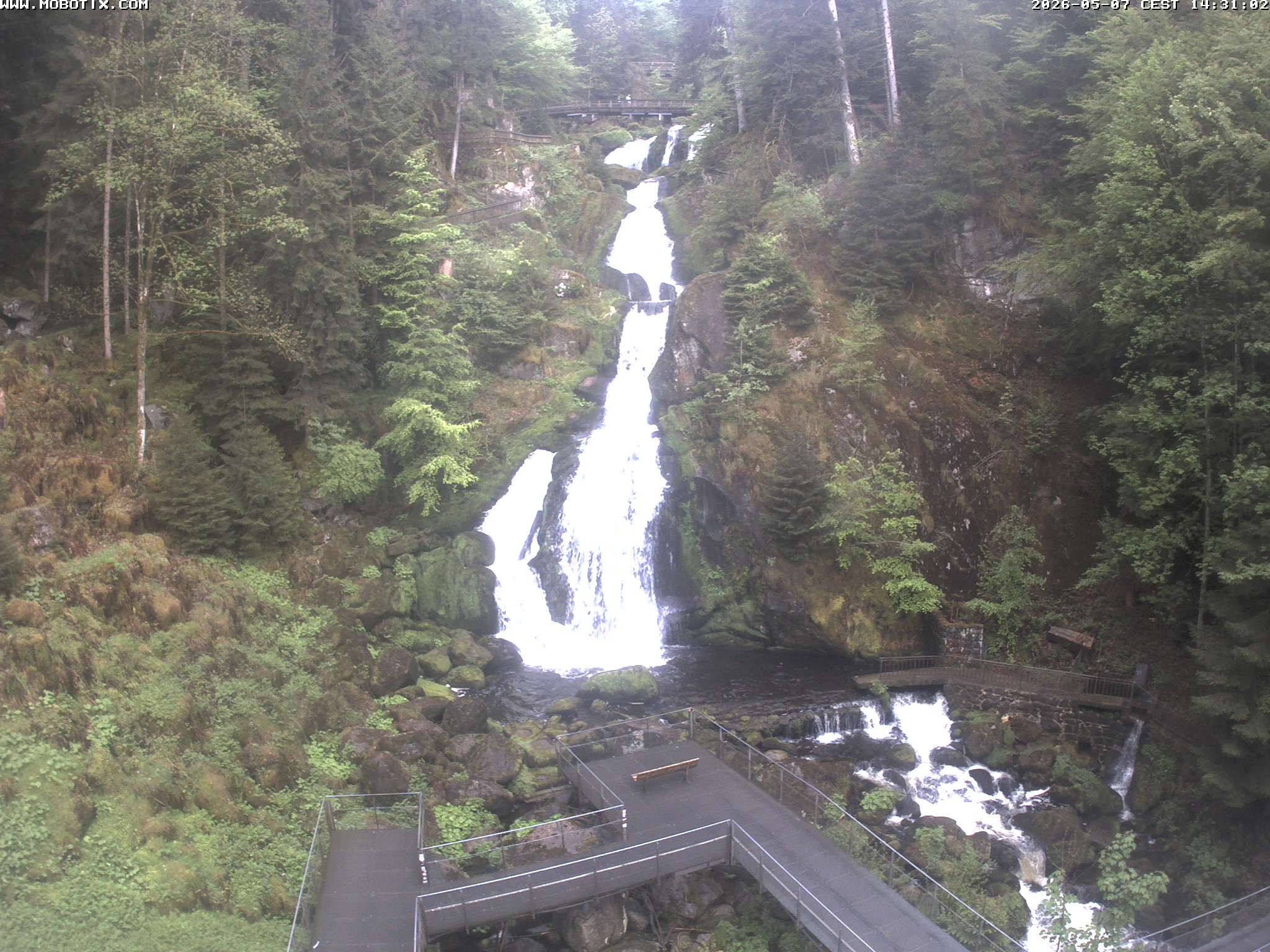 Archived image Webcam Triberg (Black Forest): Waterfalls