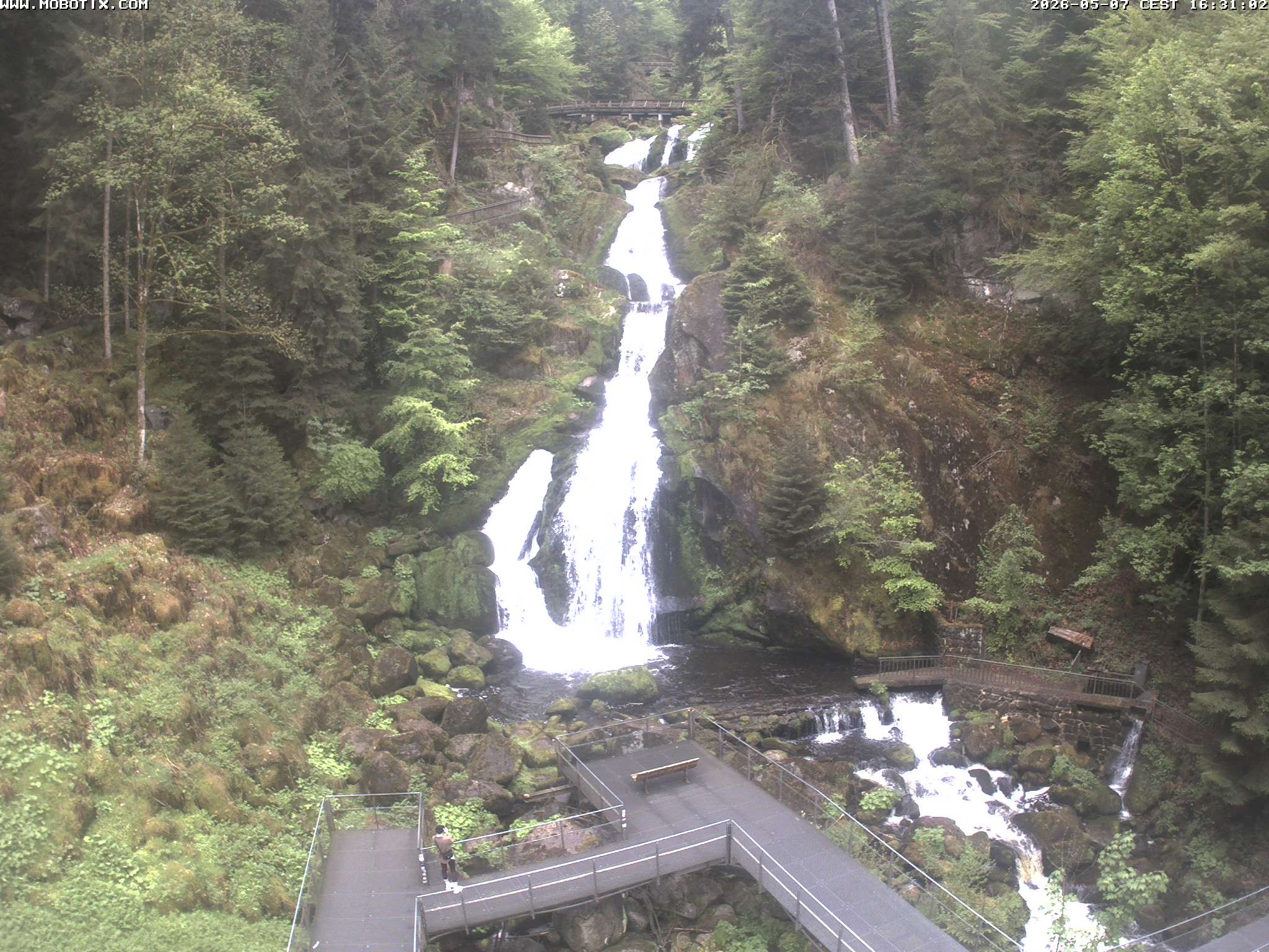 Archived image Webcam Triberg (Black Forest): Waterfalls