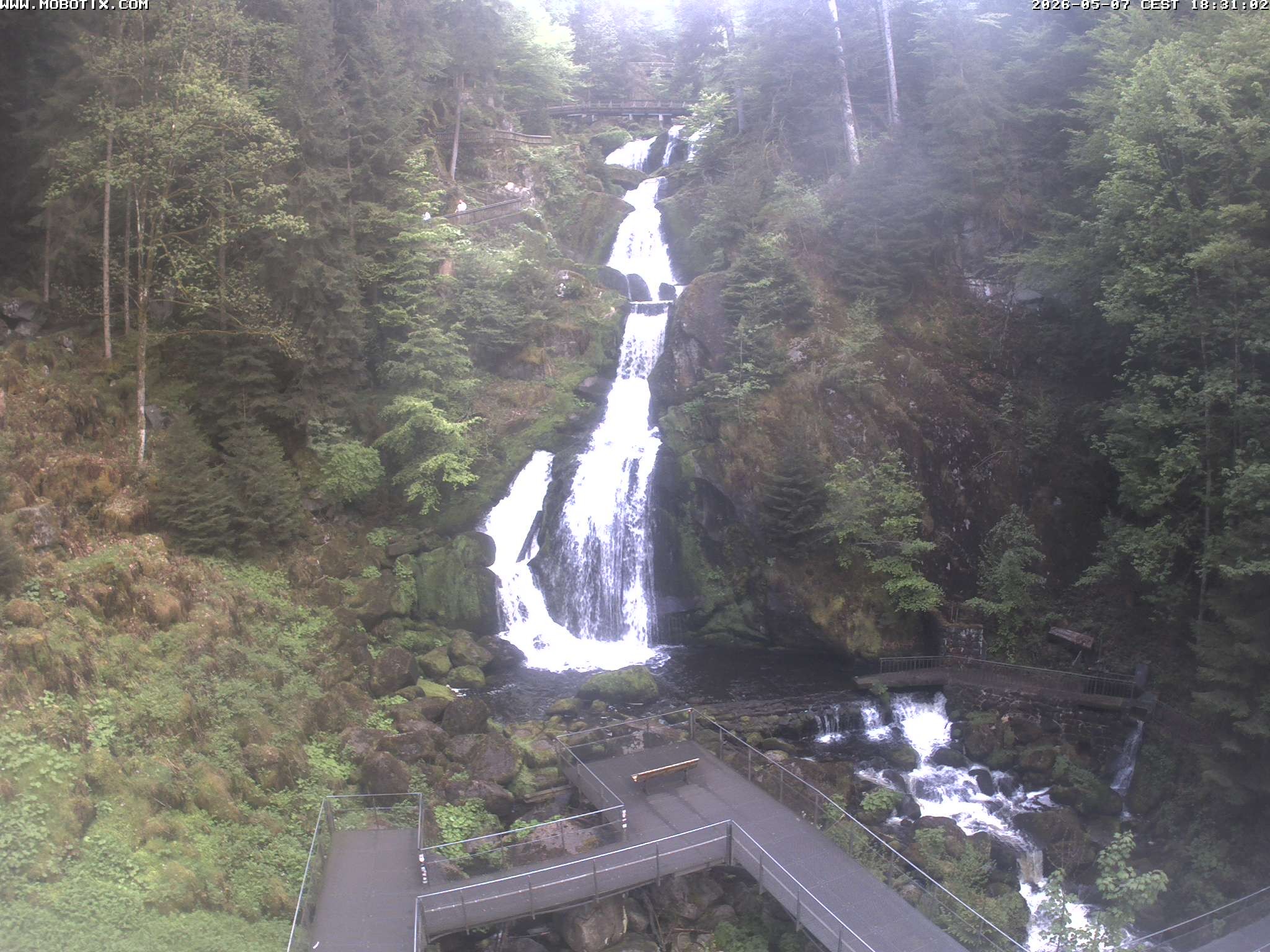 Archived image Webcam Triberg (Black Forest): Waterfalls