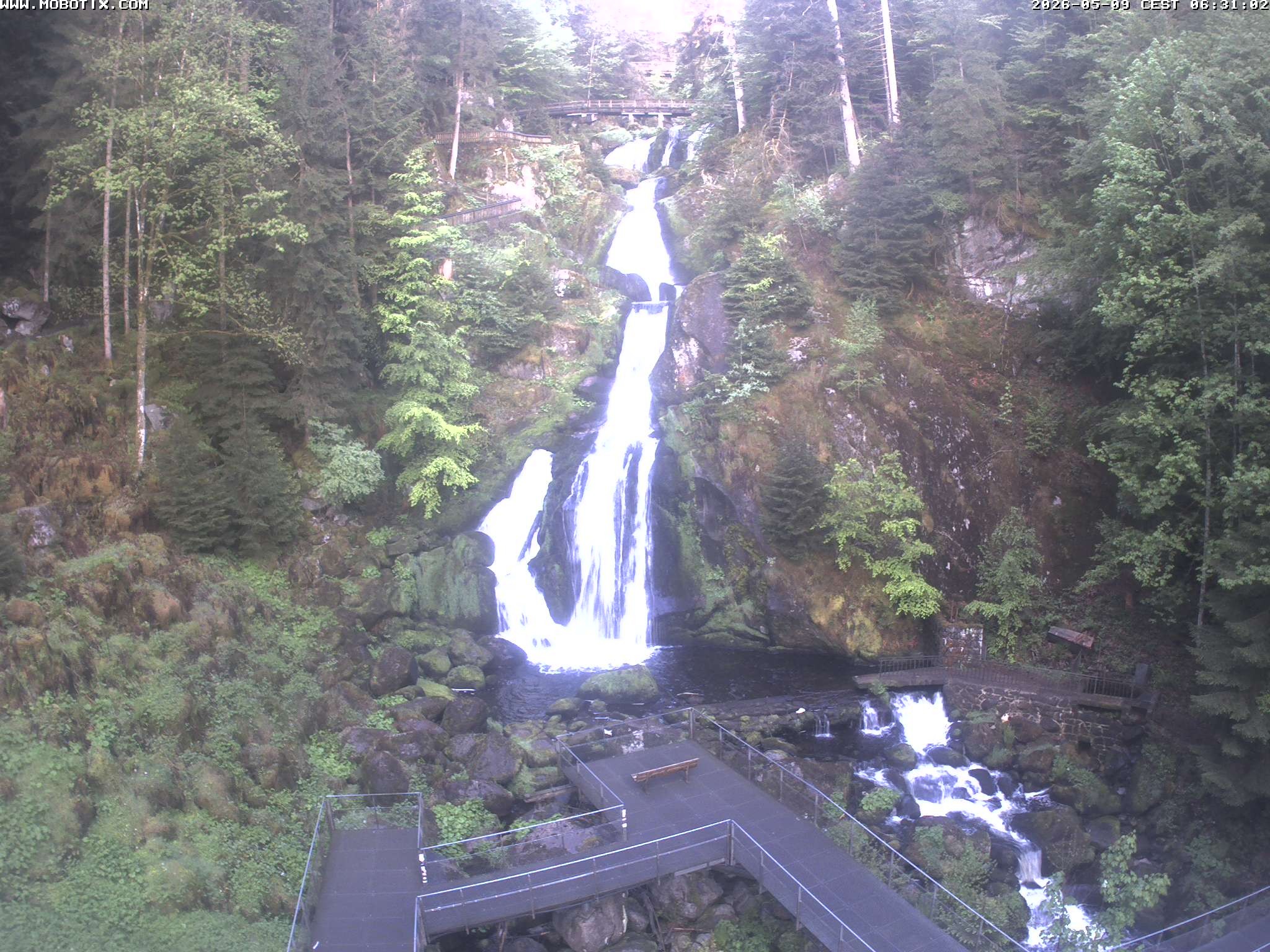 Archiv Foto Webcam Triberg Wasserfälle im Schwarzwald