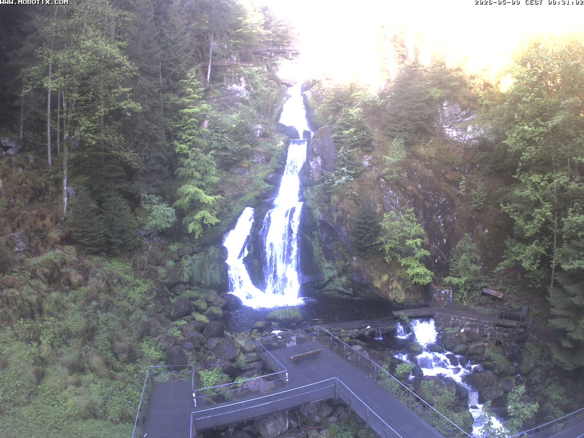 Archiv Foto Webcam Triberg Wasserfälle im Schwarzwald