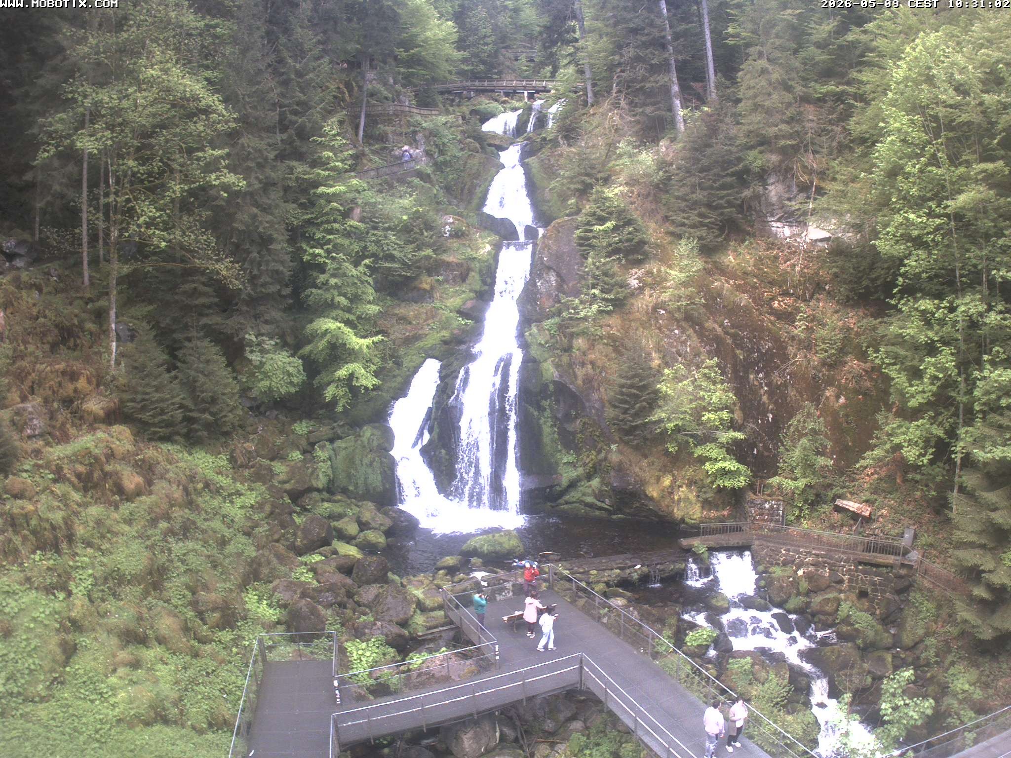 Archiv Foto Webcam Triberg Wasserfälle im Schwarzwald