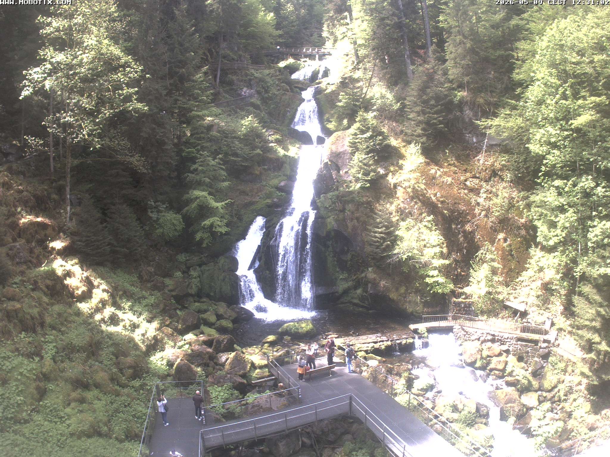 Archiv Foto Webcam Triberg Wasserfälle im Schwarzwald