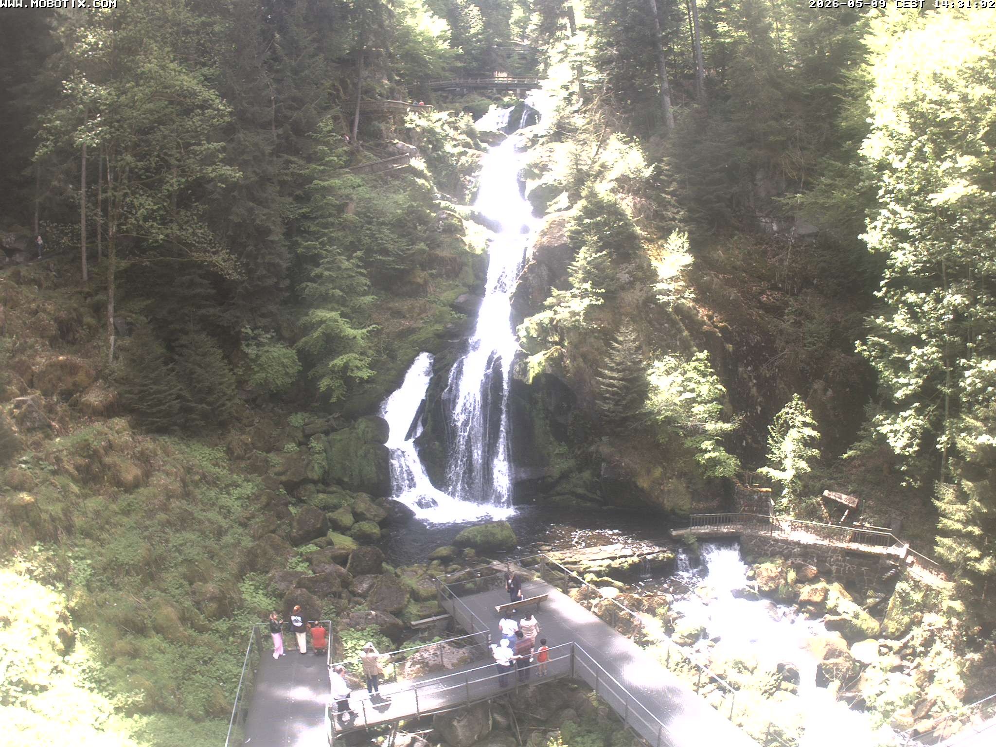 Archiv Foto Webcam Triberg Wasserfälle im Schwarzwald