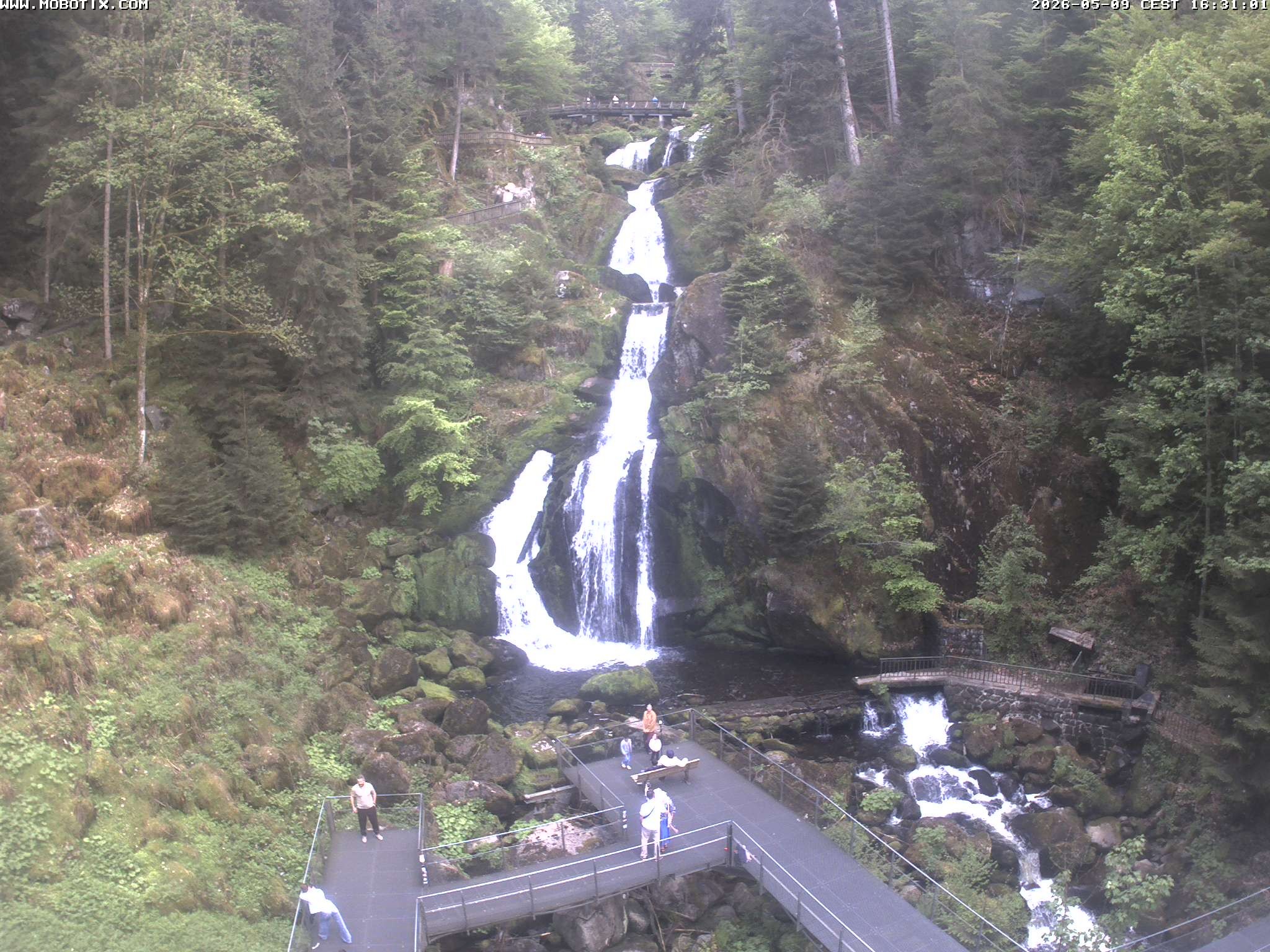Archiv Foto Webcam Triberg Wasserfälle im Schwarzwald
