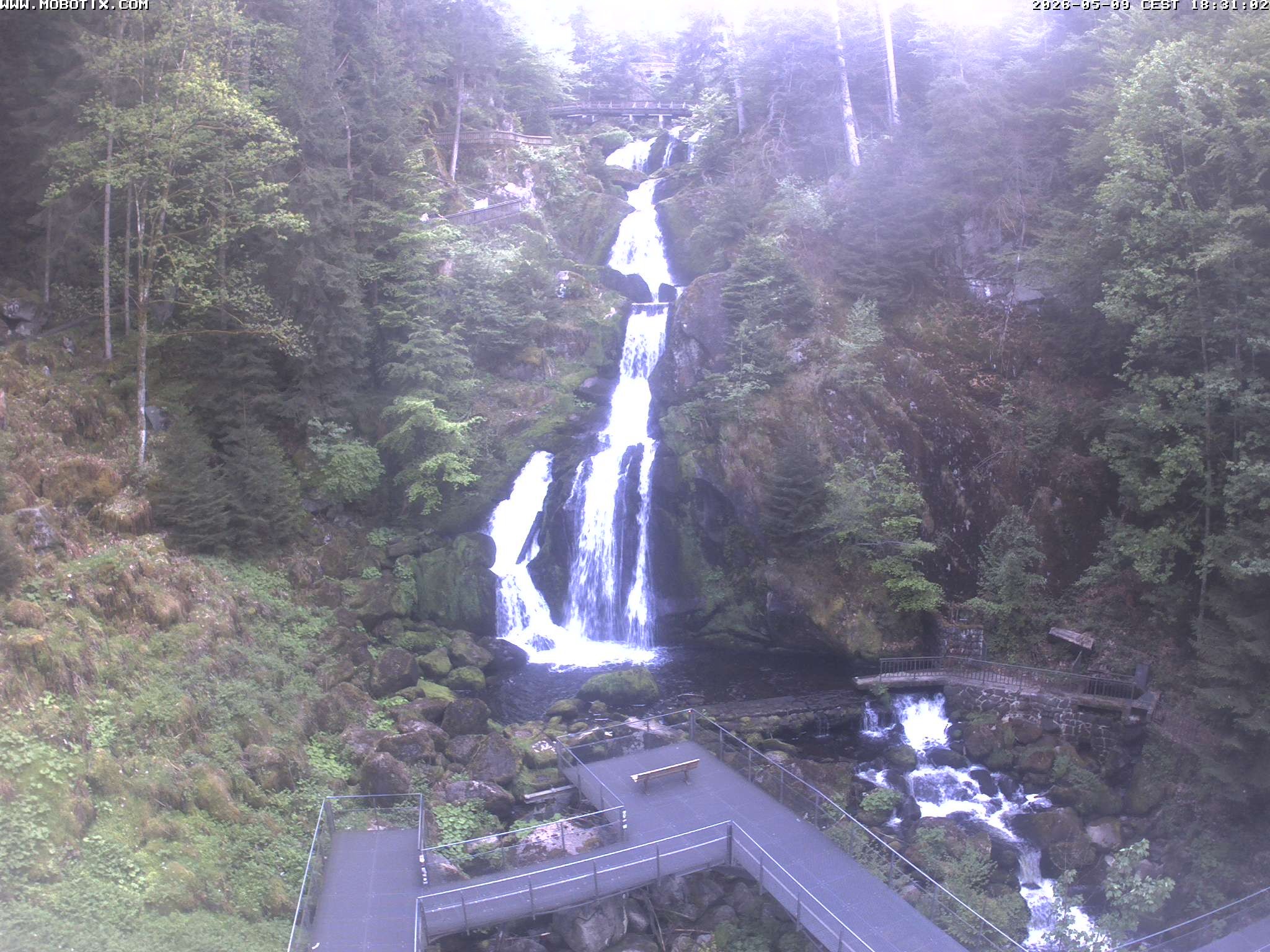 Archiv Foto Webcam Triberg Wasserfälle im Schwarzwald