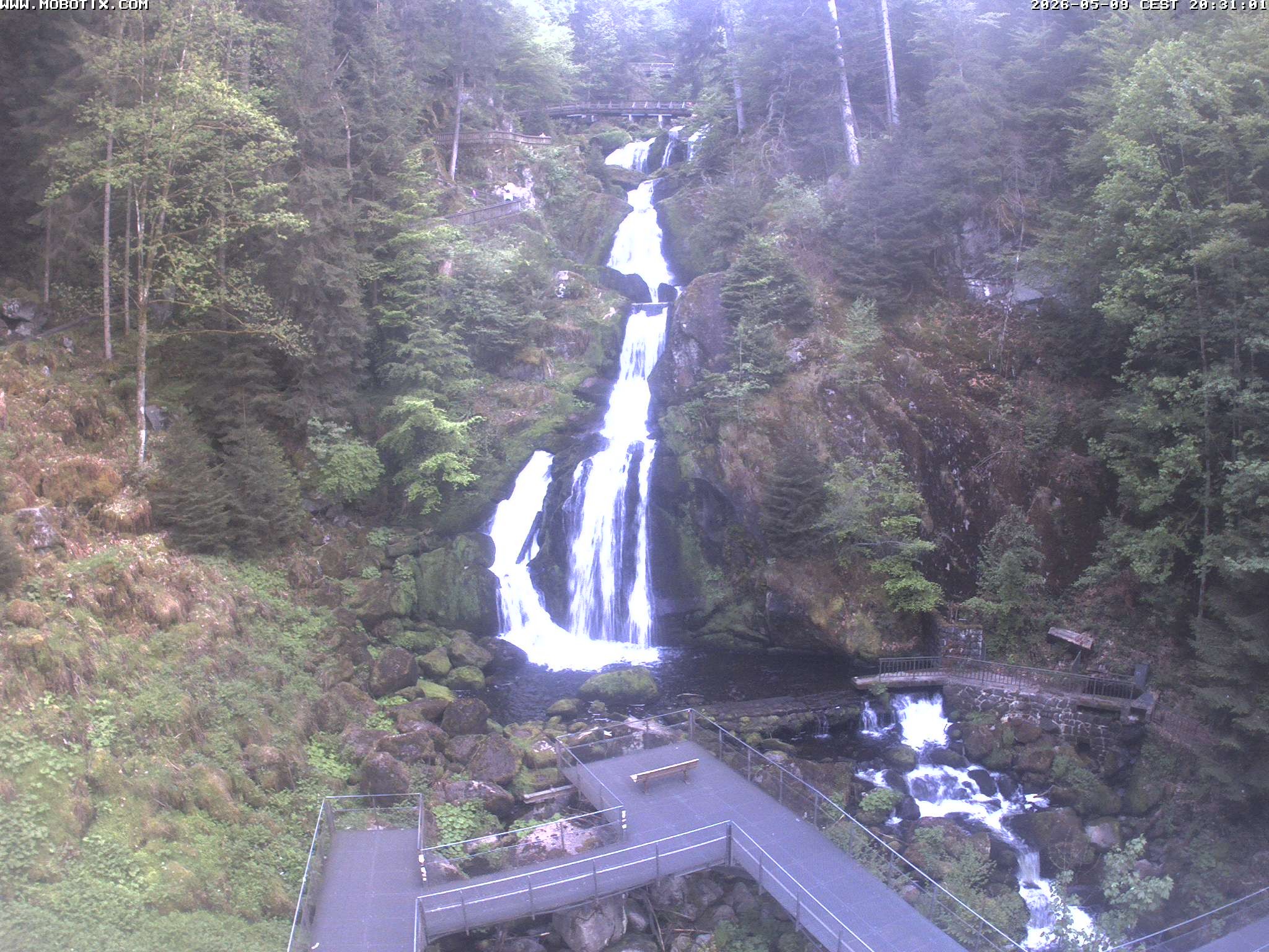 Archiv Foto Webcam Triberg Wasserfälle im Schwarzwald