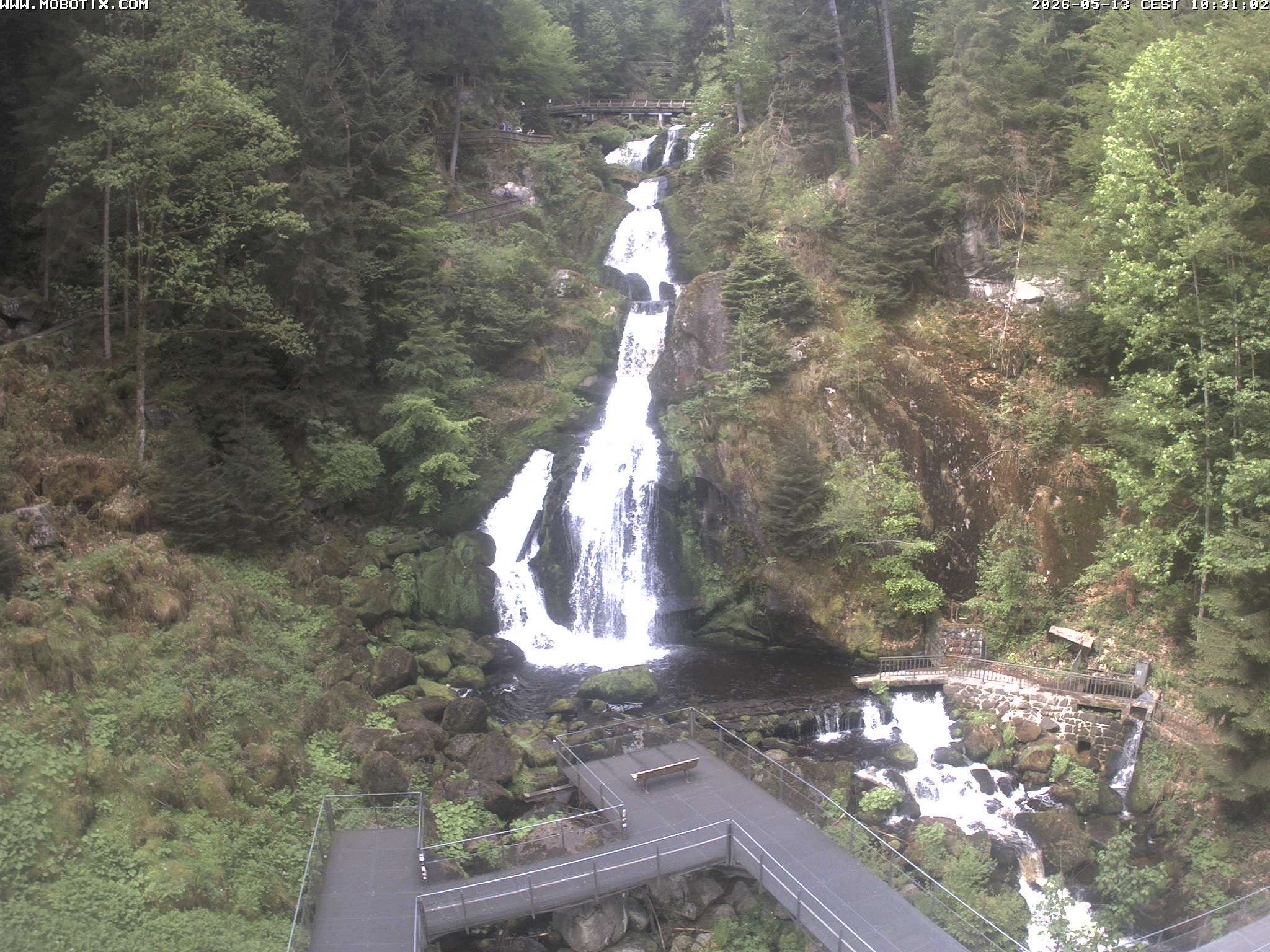 Archiv Foto Webcam Triberg Wasserfälle im Schwarzwald
