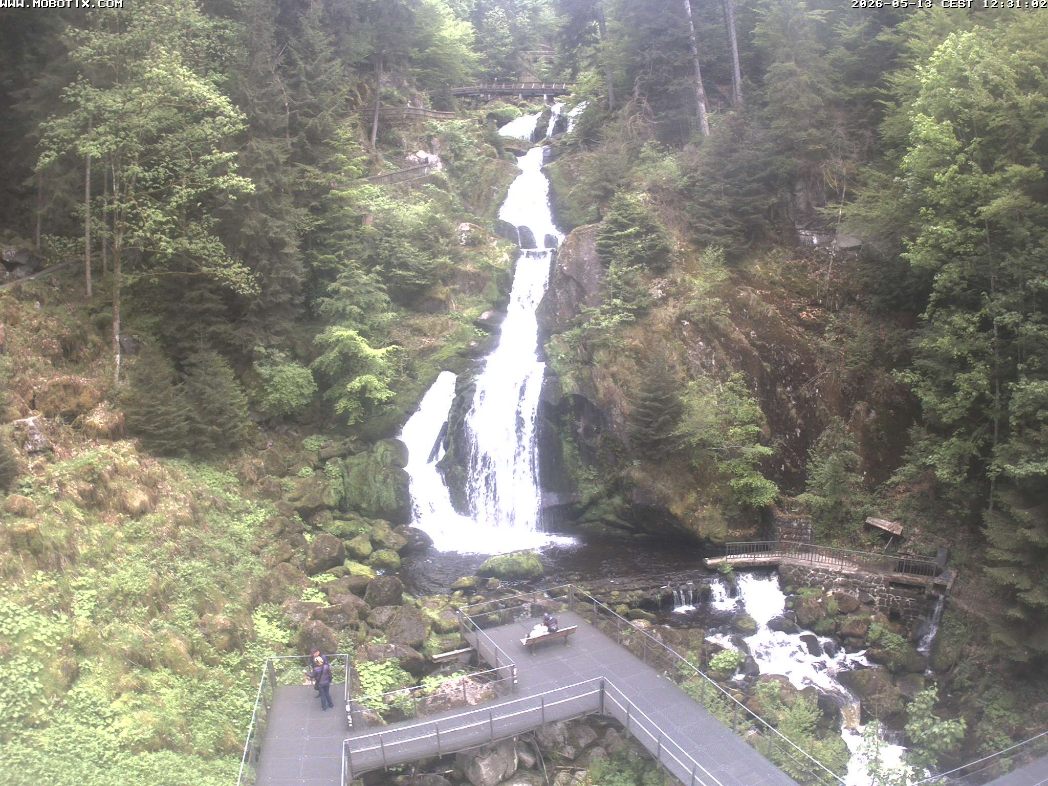Archiv Foto Webcam Triberg Wasserfälle im Schwarzwald