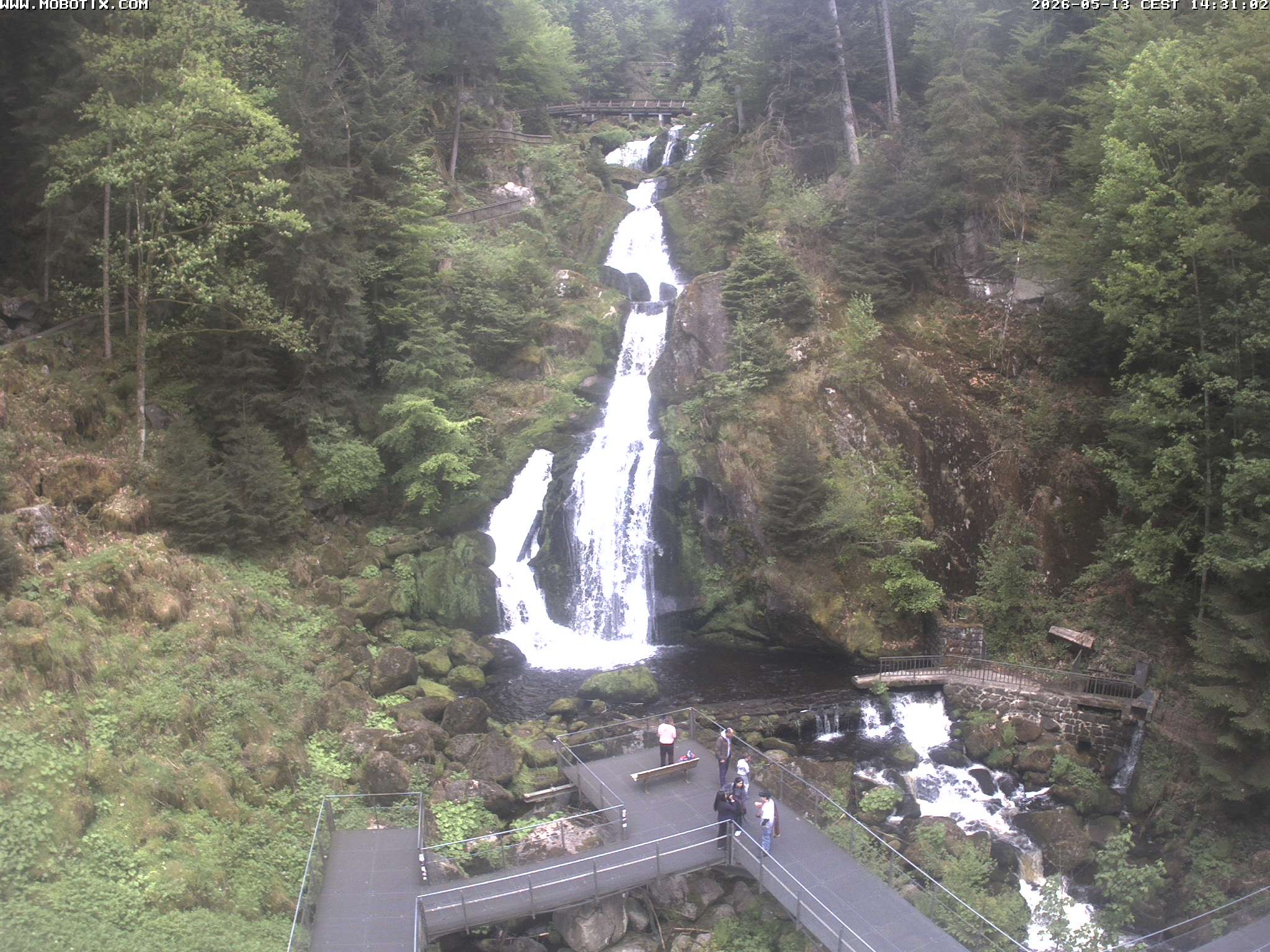 Archiv Foto Webcam Triberg Wasserfälle im Schwarzwald