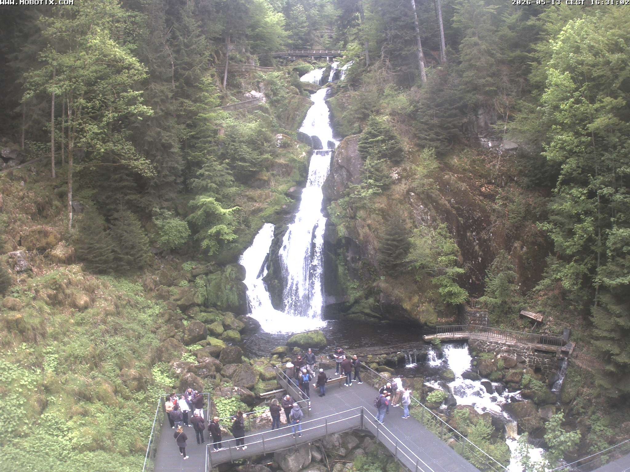Archiv Foto Webcam Triberg Wasserfälle im Schwarzwald