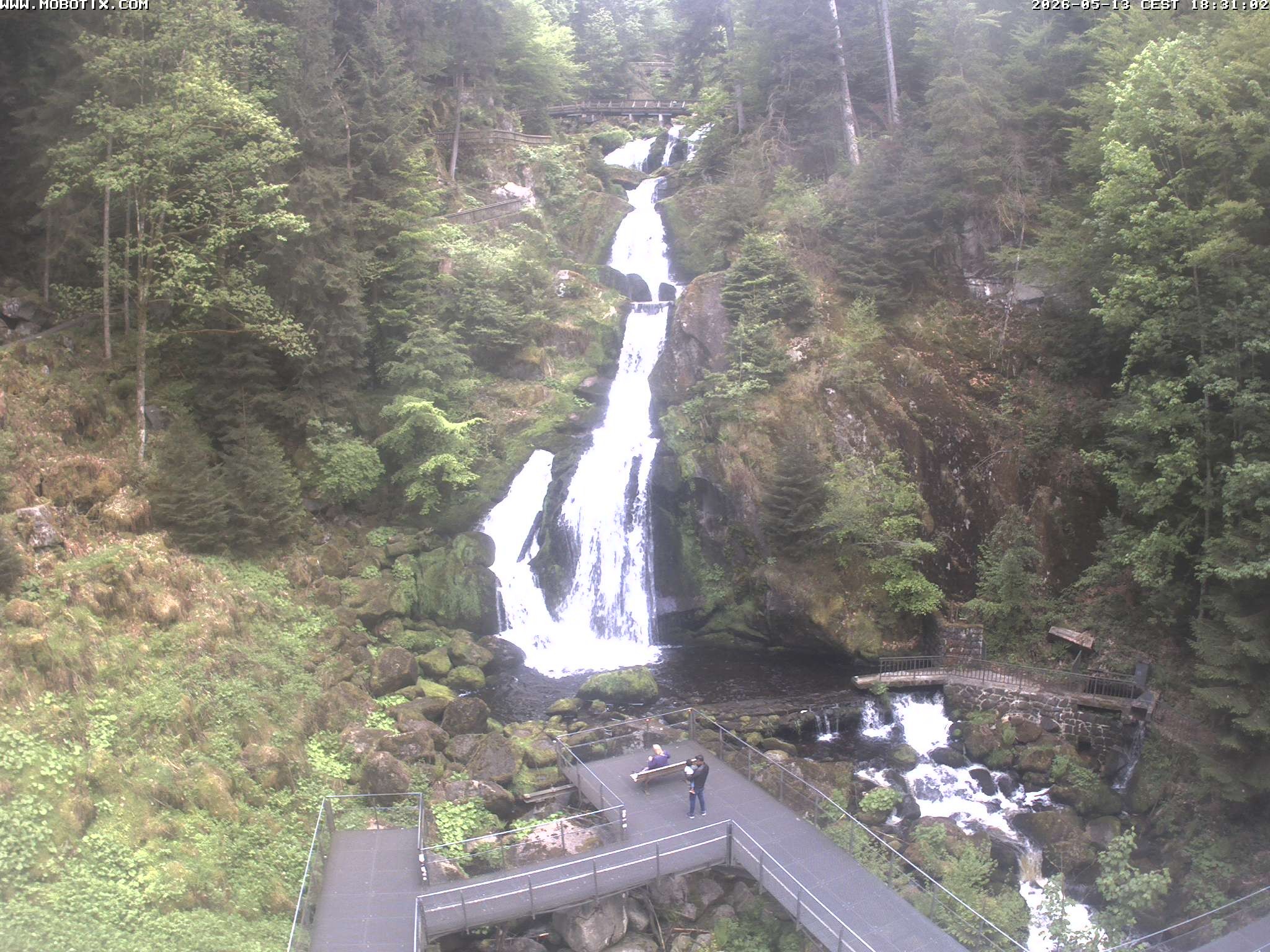 Archiv Foto Webcam Triberg Wasserfälle im Schwarzwald