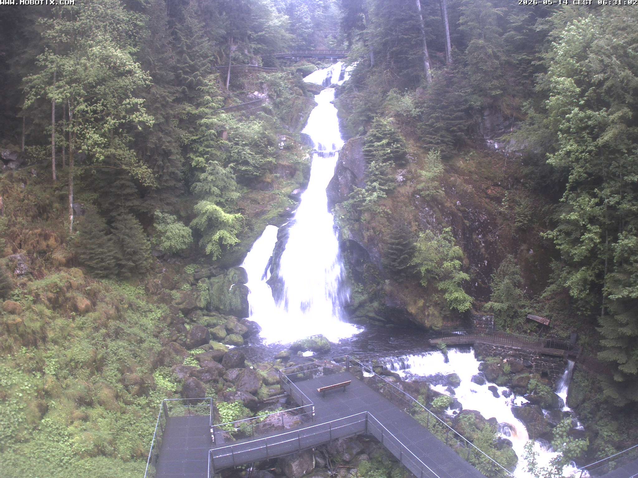 Archiv Foto Webcam Triberg Wasserfälle im Schwarzwald