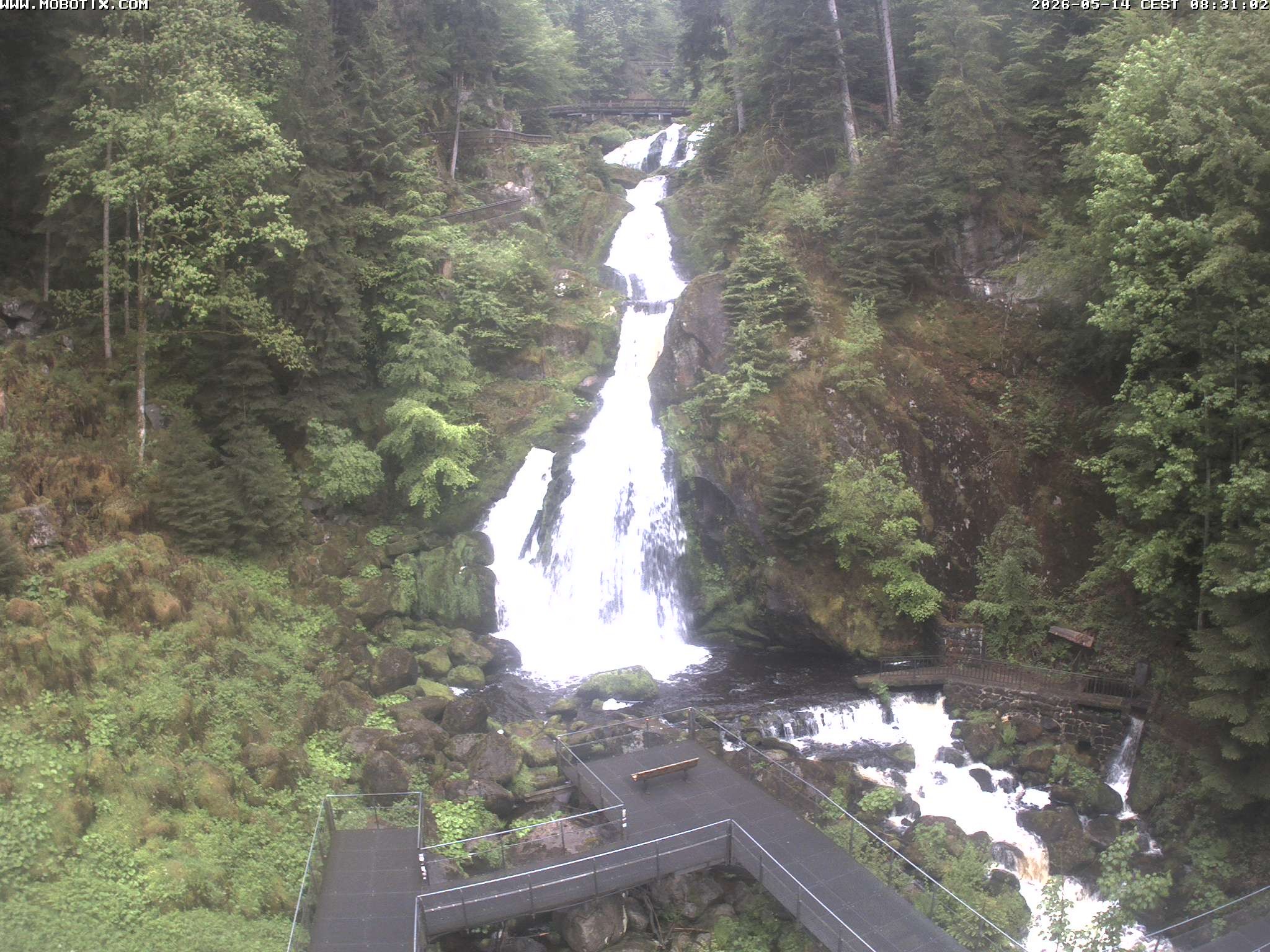 Archiv Foto Webcam Triberg Wasserfälle im Schwarzwald