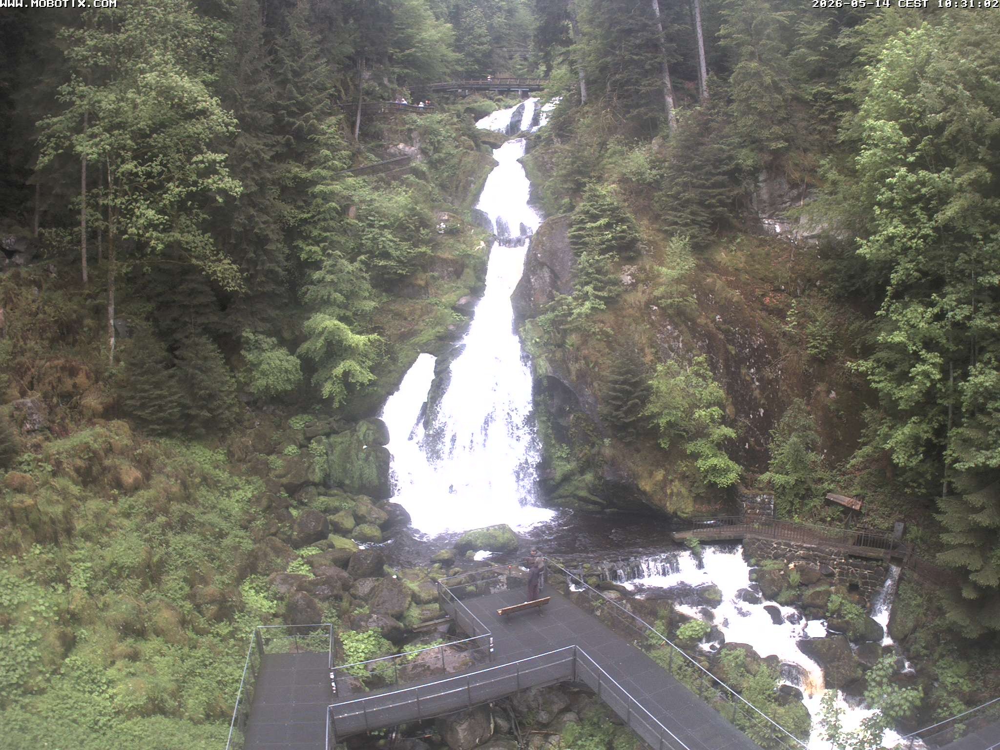 Archiv Foto Webcam Triberg Wasserfälle im Schwarzwald