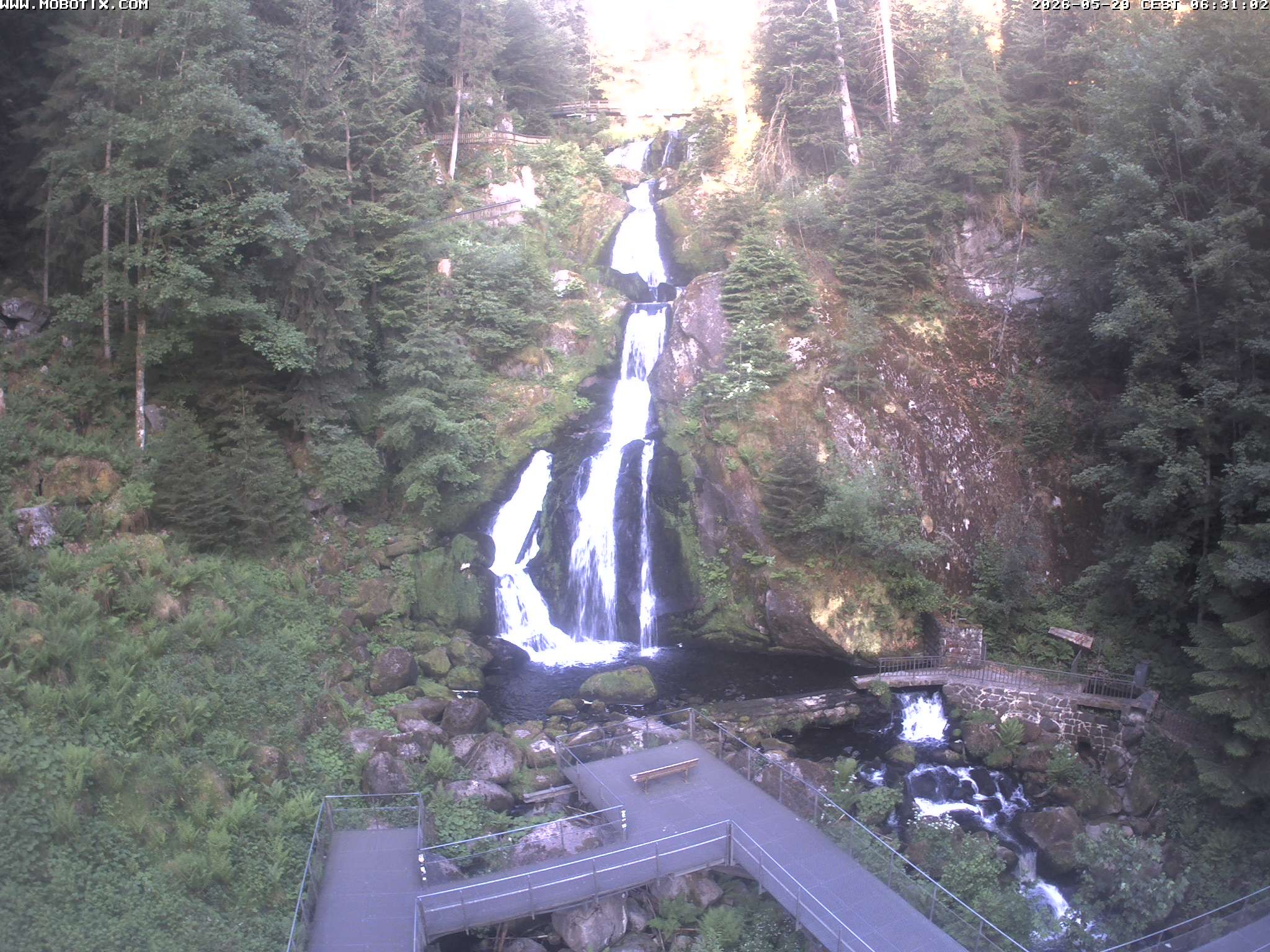 Archived image Webcam Triberg (Black Forest): Waterfalls