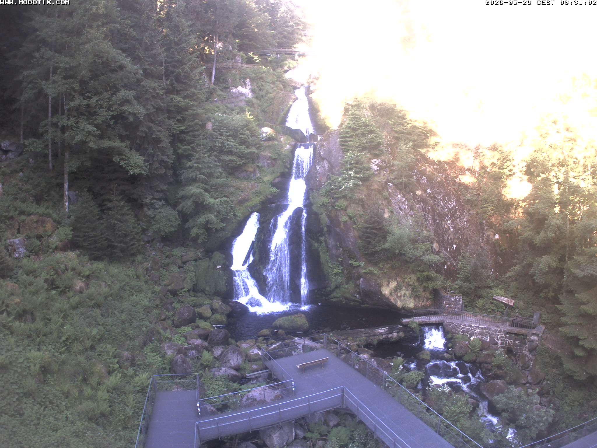 Archived image Webcam Triberg (Black Forest): Waterfalls